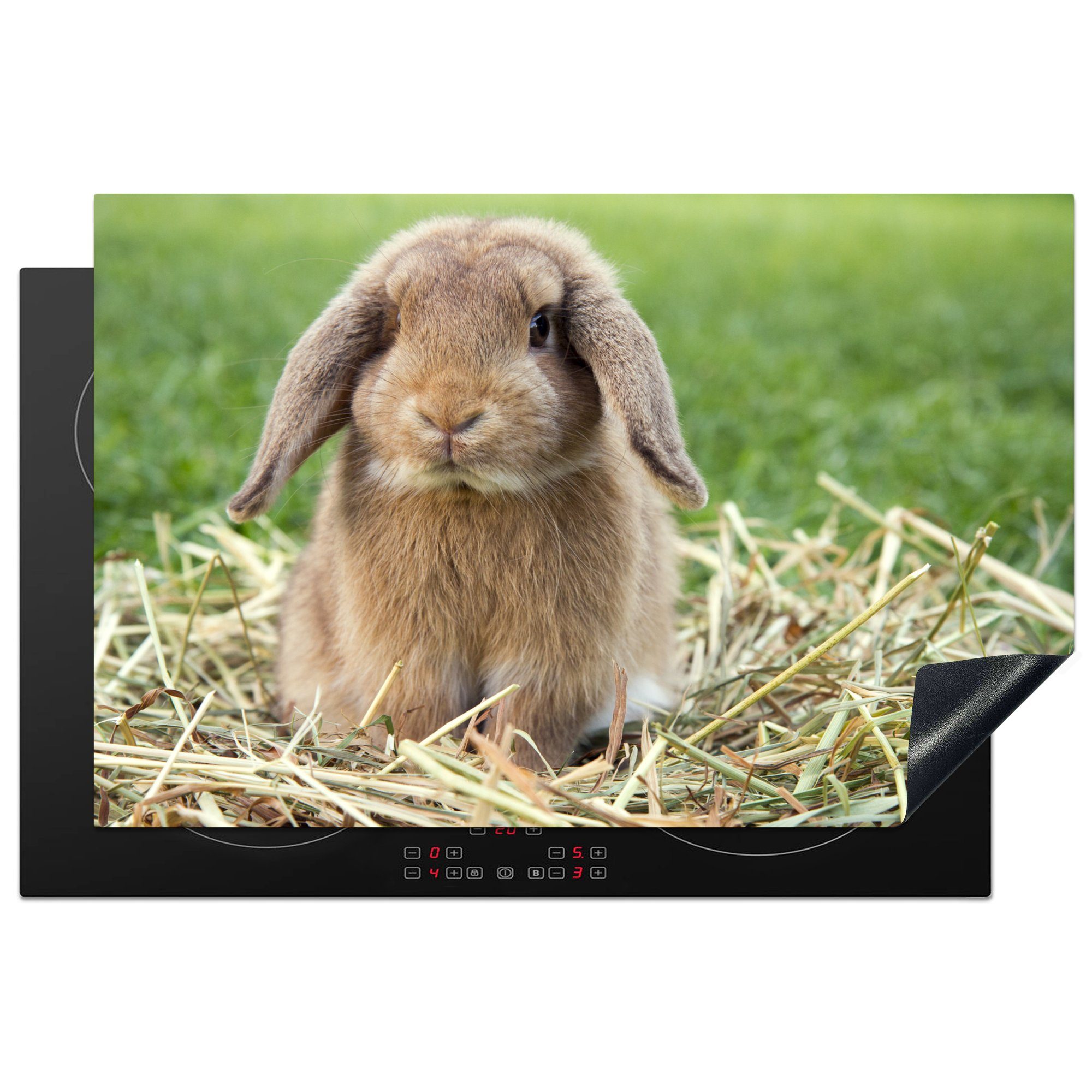 MuchoWow Herdblende-/Abdeckplatte Kaninchen - Stroh - Tier, Vinyl, (1 tlg), 81x52 cm, Induktionskochfeld Schutz für die küche, Ceranfeldabdeckung