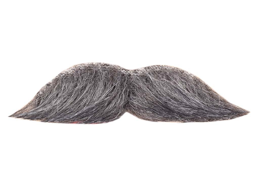 Festartikel Müller GmbH Kunsthaarperücke Schnurrbart grau