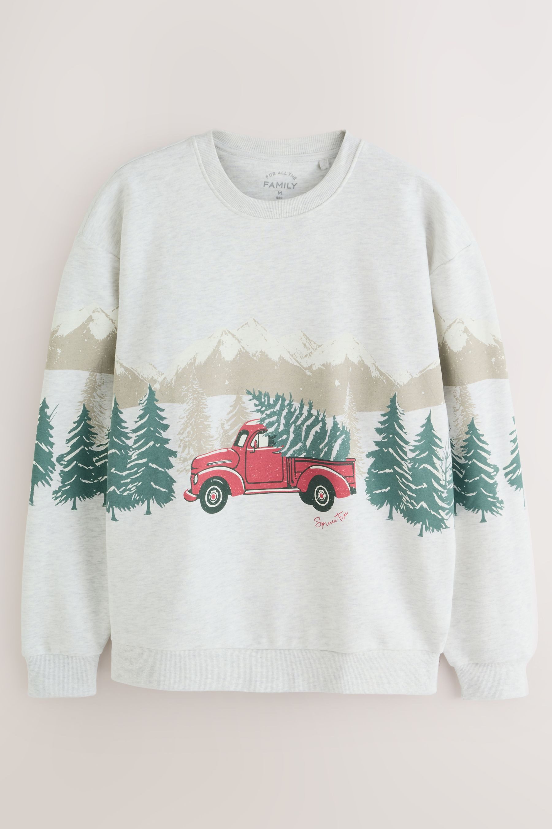 Next Pyjama Flanell-Schlafanzug, Familienkollektion (2 tlg)
