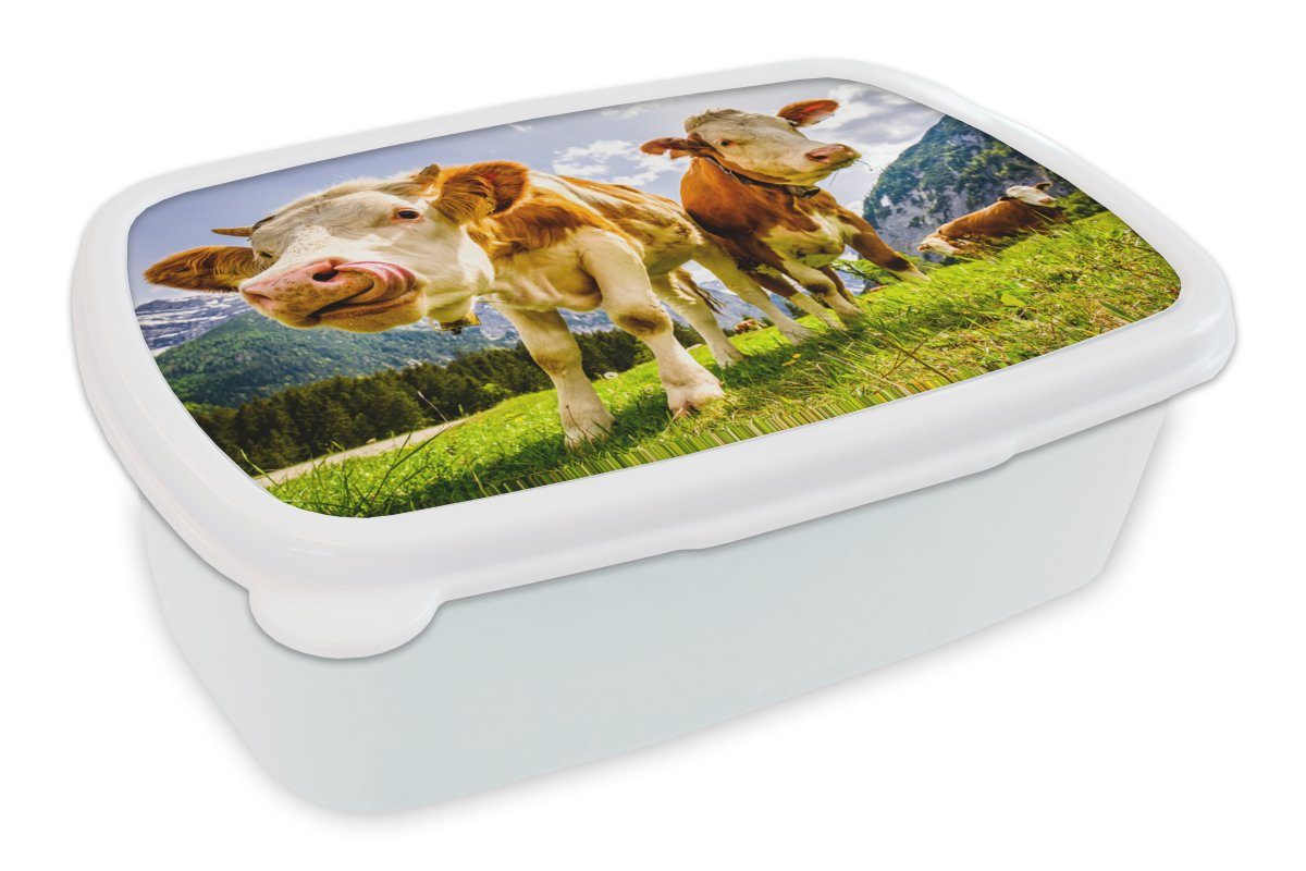 Brotbox und Alpen, Lunchbox weiß Landschaft - (2-tlg), Erwachsene, Gras Berge für Kunststoff, - - Brotdose, Kühe Mädchen - für und Jungs Kinder MuchoWow