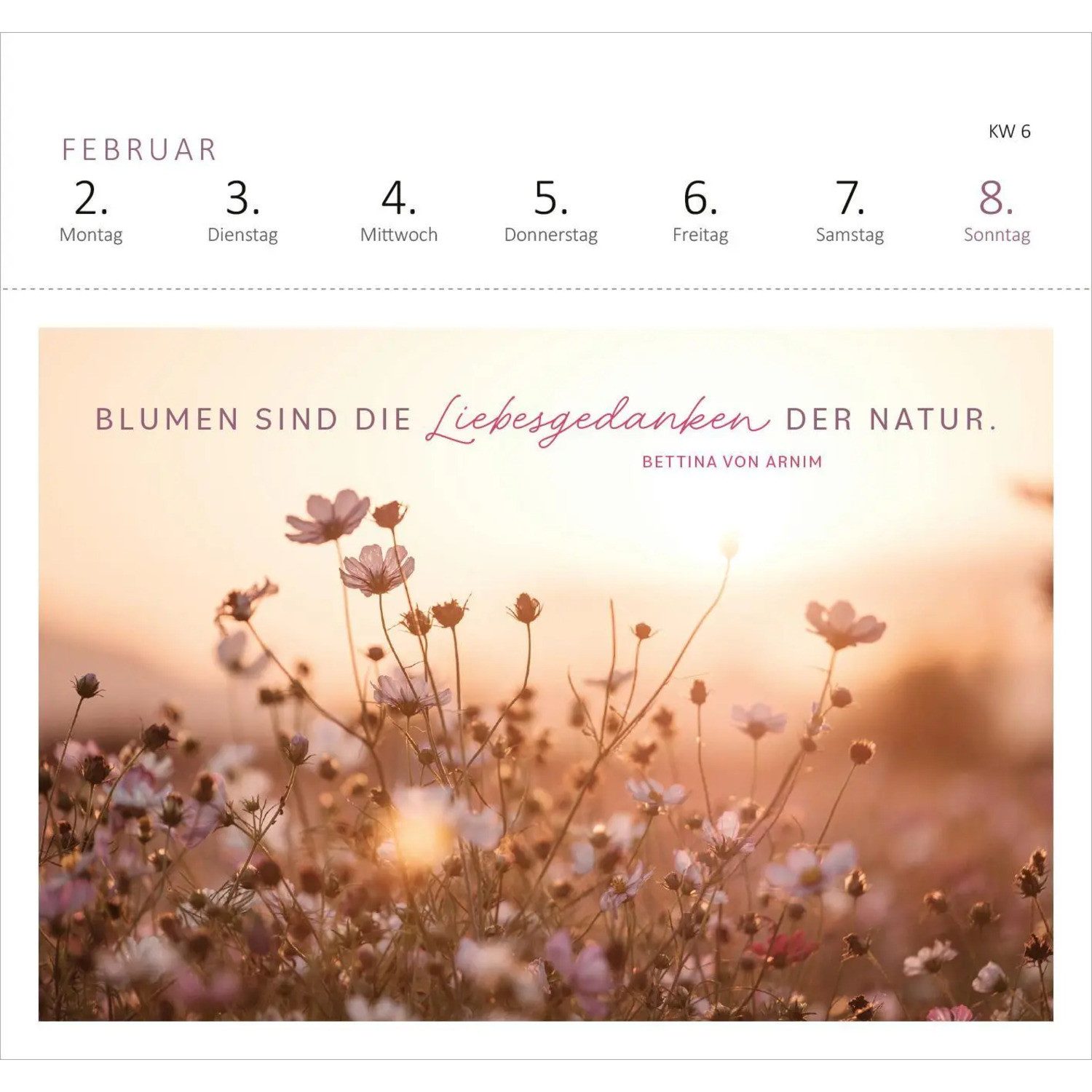 Ars Edition Tischkalender Postkartenkalender 365 Tage Sonne im Herzen 2026