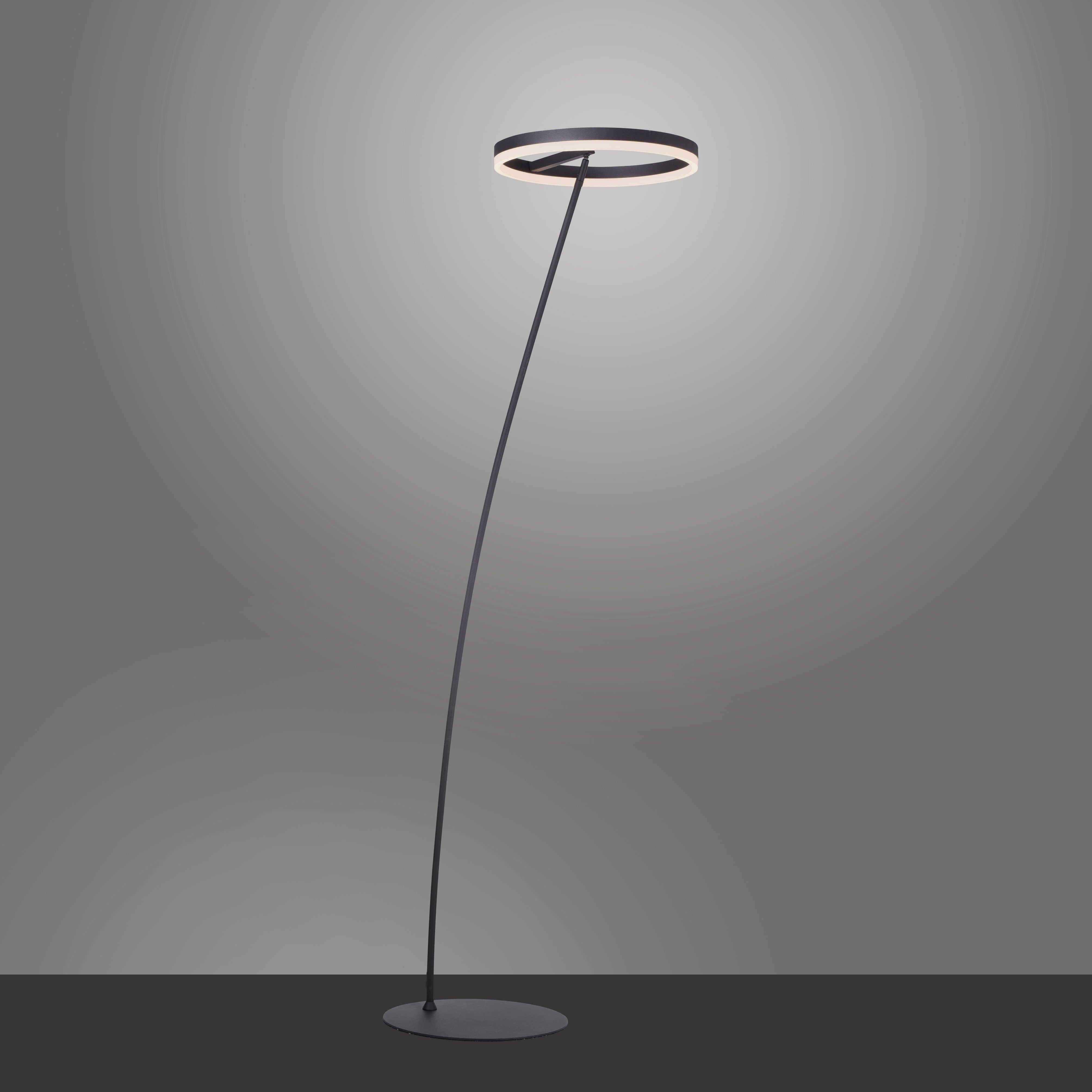 Paul Neuhaus Stehlampe TITUS, Dimmfunktion, LED fest integriert, Warmweiß, günstig online kaufen