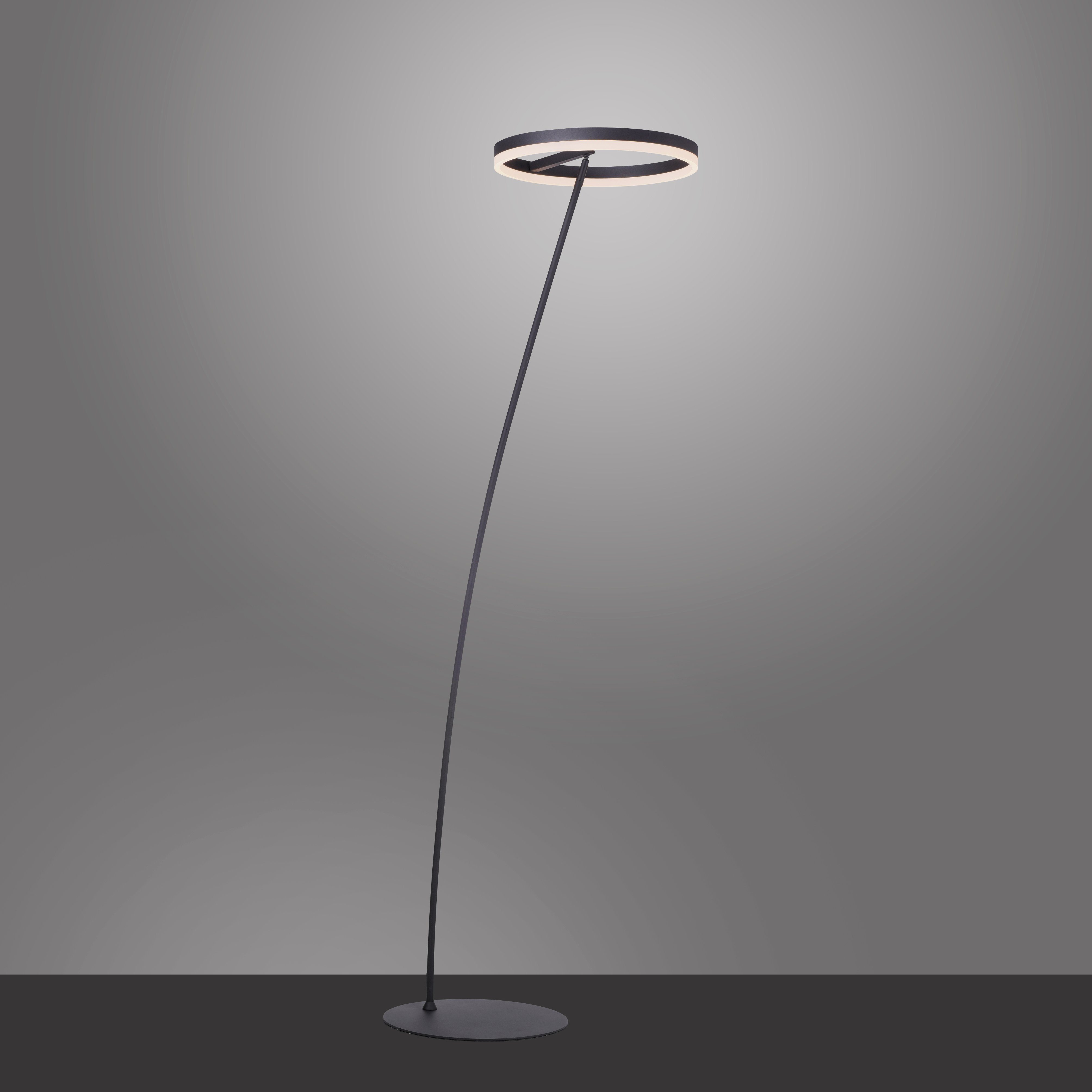 neuester Stil Paul Neuhaus Stehlampe über Schnurdimmer LED TITUS, dimmbar integriert, fest LED Warmweiß, Dimmfunktion