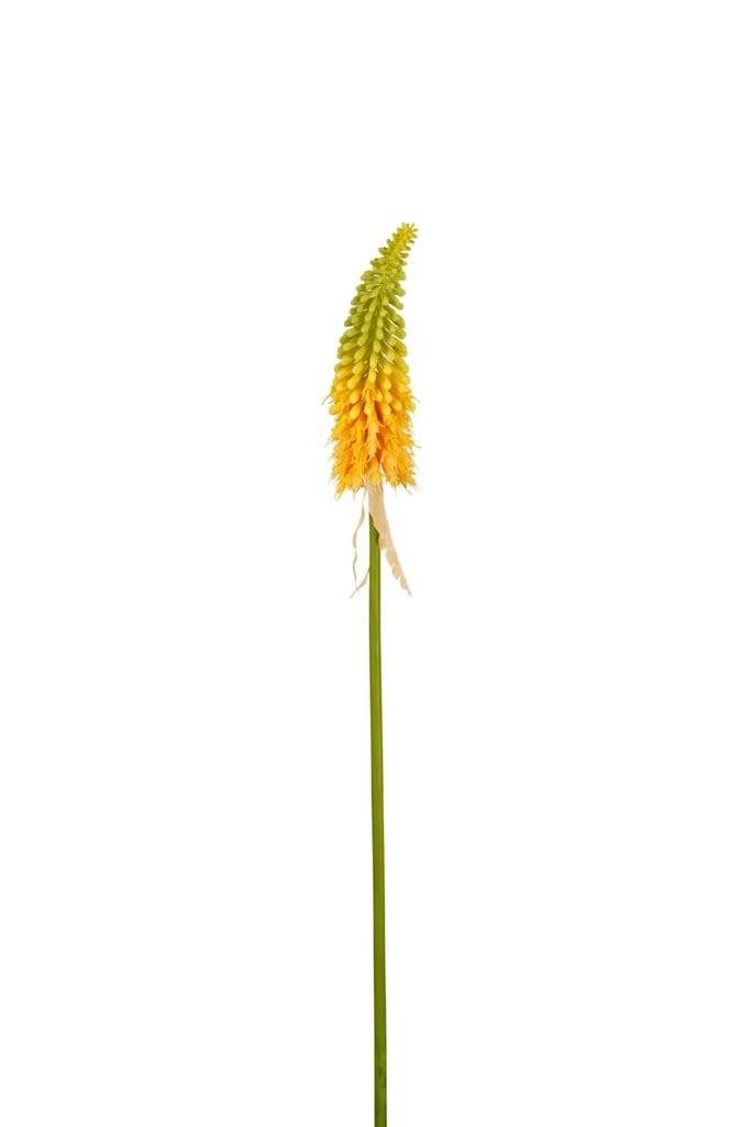 Kunstblume Künstliche Blume Fackellilie MAVORA, grün-gelb, 80cm Fackellilie, artplants, Höhe 80 cm