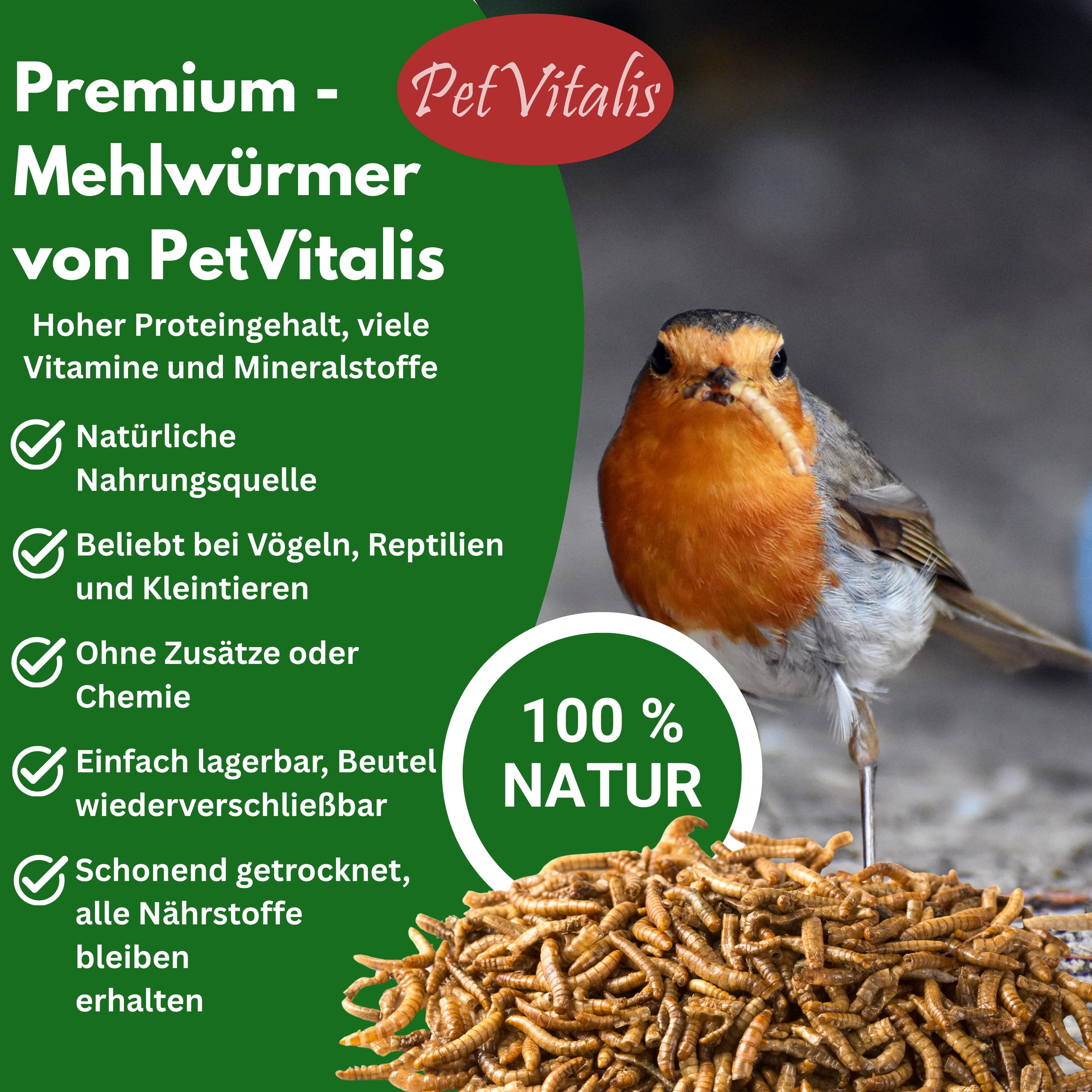 PetVitalis Getrocknete Mehlwürmer – Einzelfuttermittel als Vogelfutter-Ergänzung, Ergänzungsfutter für: Meerschweinchen, Schildkröten, Wildvögel, Reptilien, Fische, Eichhörnchen, Igel, Nager