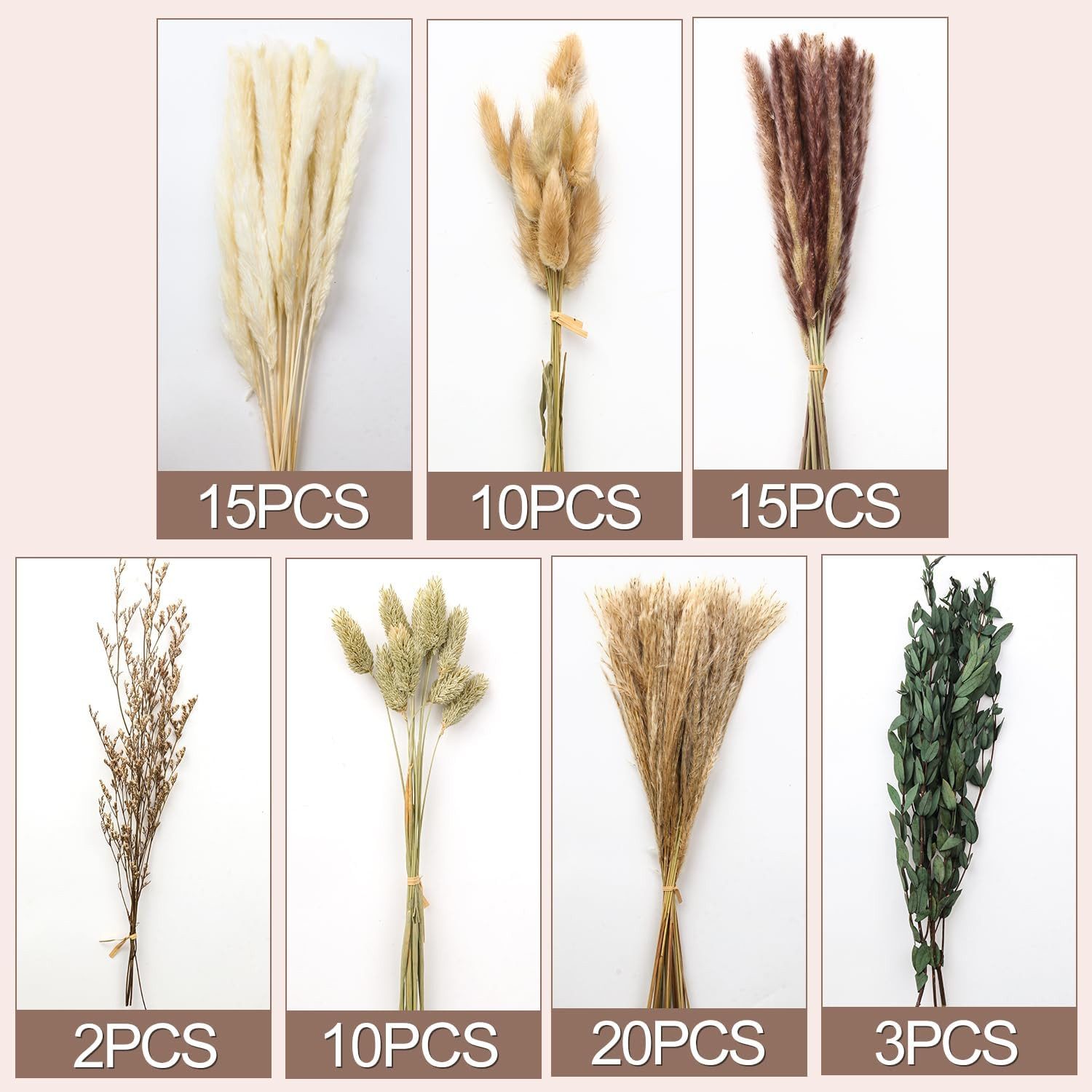 Trockenblume Natürliche Trockenblumen, Boho Deko, 75 Stück Pampasgras Getrocknet, wohnTRAUM24, Höhe 43 cm, Trockenblumen Set Pampasgras, Hasenschwanzgras für Hochzeit & Party