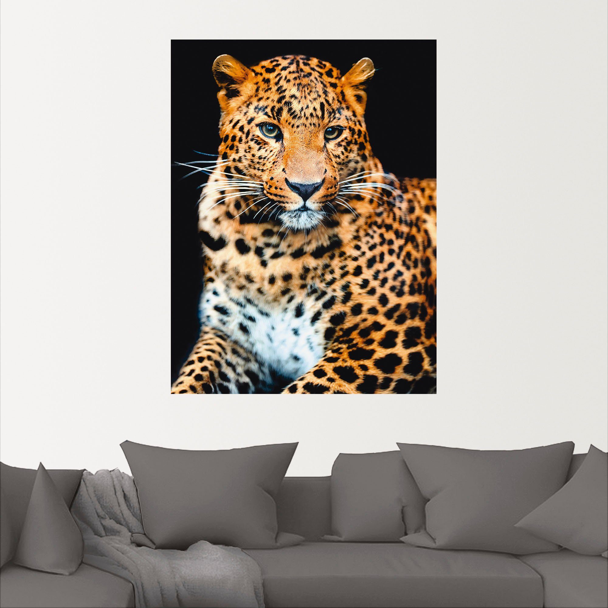 (1 Poster Wandbild St), Größen Alubild, Wildtiere oder Leopard, versch. wilder Leinwandbild, Wandaufkleber als Wütender Artland in
