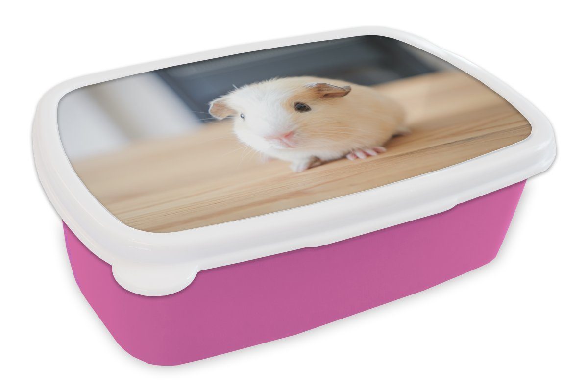 MuchoWow Lunchbox rosa für Brotdose Erwachsene, Niedliches (2-tlg), Brotbox Kunststoff, Kinder, Kunststoff Snackbox, Mädchen, Baby-Meerschweinchen