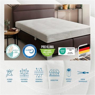 Komfortschaummatratze Matratze Active Greenfirst, Matratze in diversen Größen erhältlich, Beco, 18 cm hoch, Matratze in 90x200 cm und weiteren Größen, punktelastische Matratze