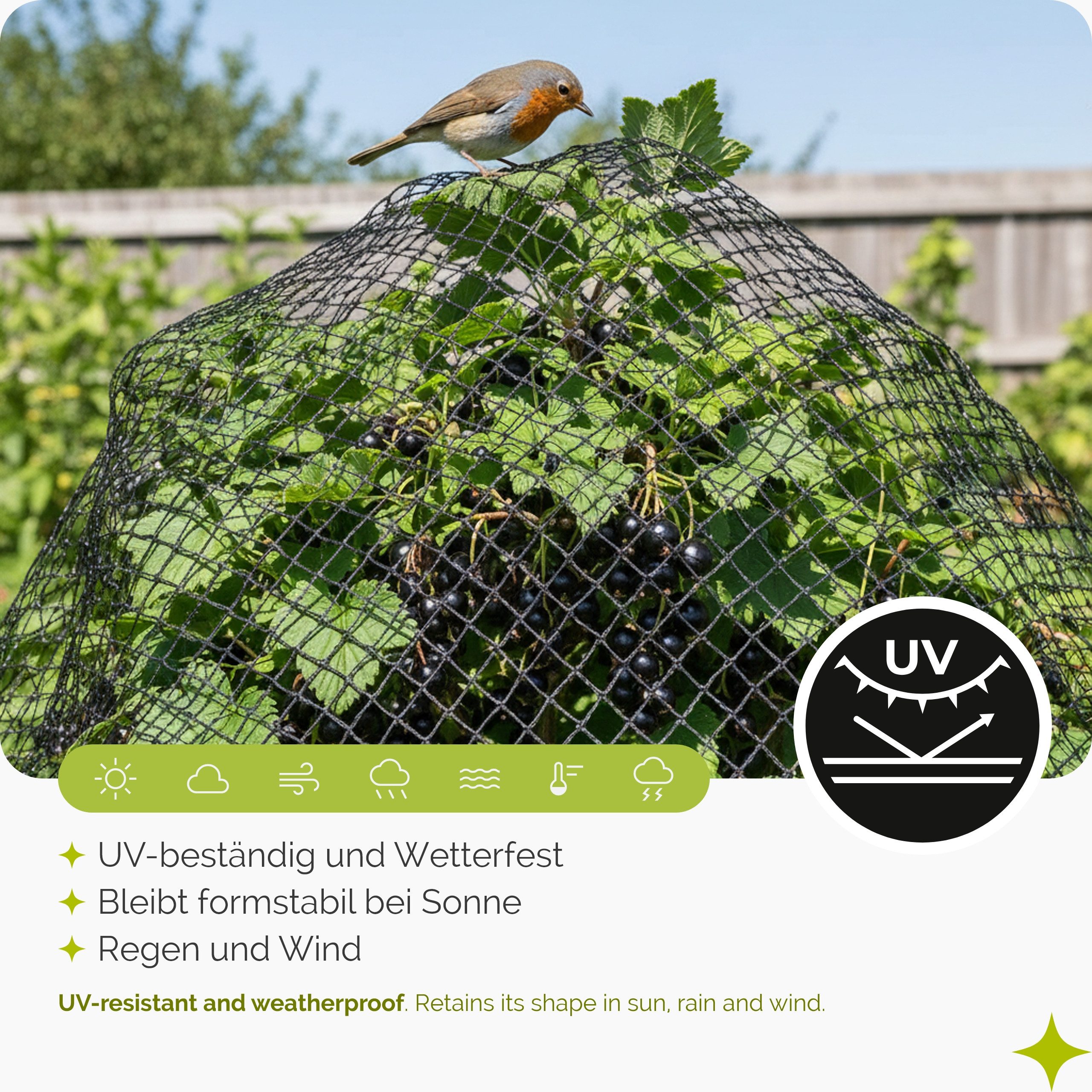Garronda Schutznetz Vogelschutznetz HDPE feinmaschig 13 × 13 mm UV-beständig GD-0195, BxL: 2x3 m, (1-St), UV-beständig, feinmaschiger Schutz für Beeren und Gemü – Bild 4 von 5