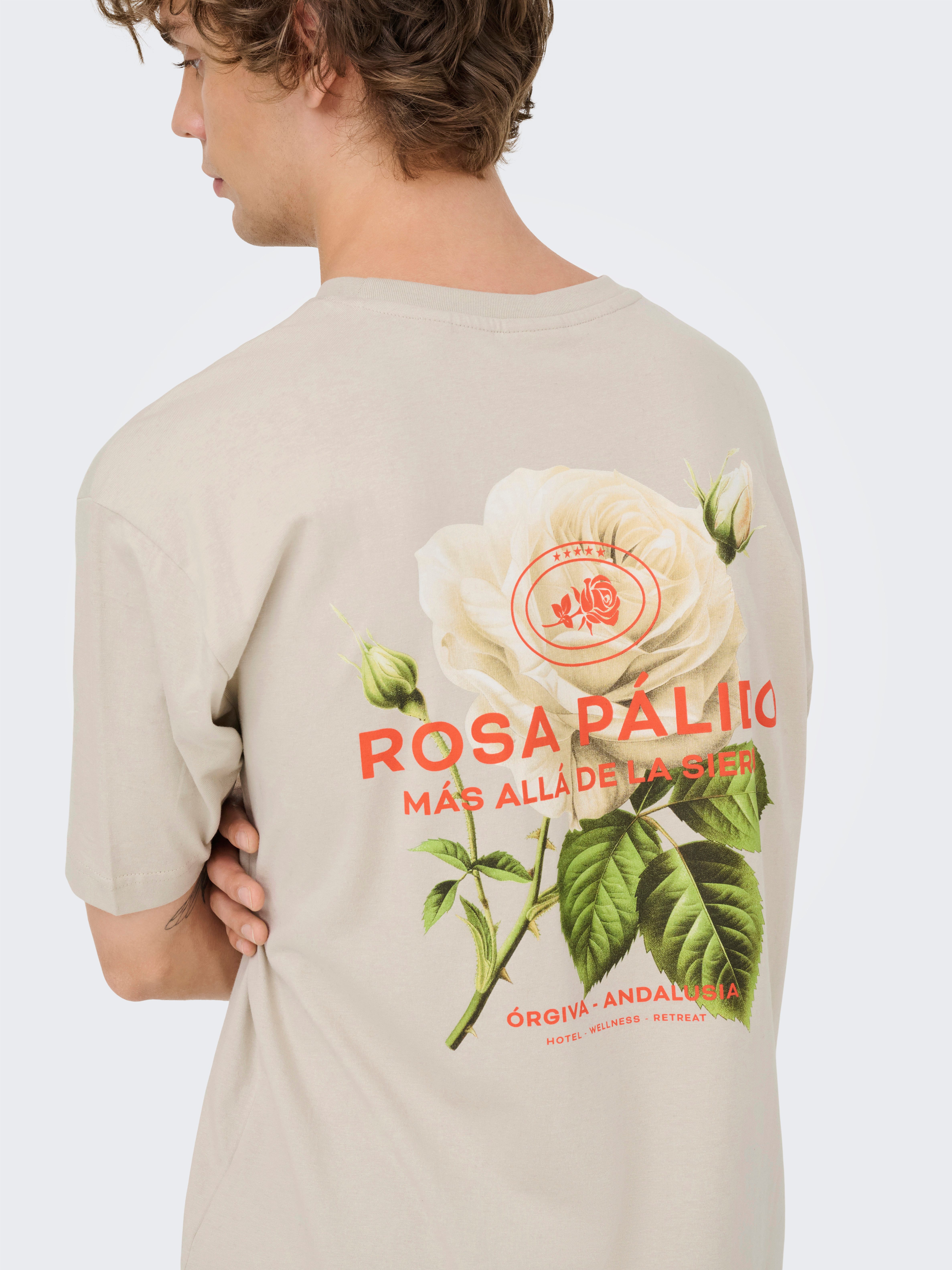 ONLY & SONS T-Shirt ONSFRANK RLX SS TEE NOOS Baumwolle, relaxed fit