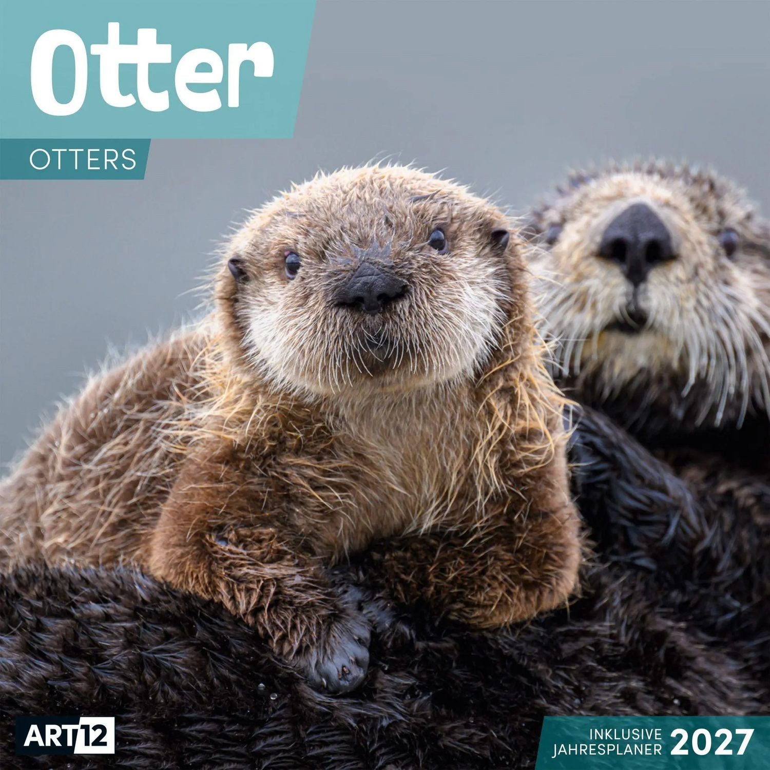 Ackermann Wandkalender Otter Kalender 2027 - 30x30 - Art12
