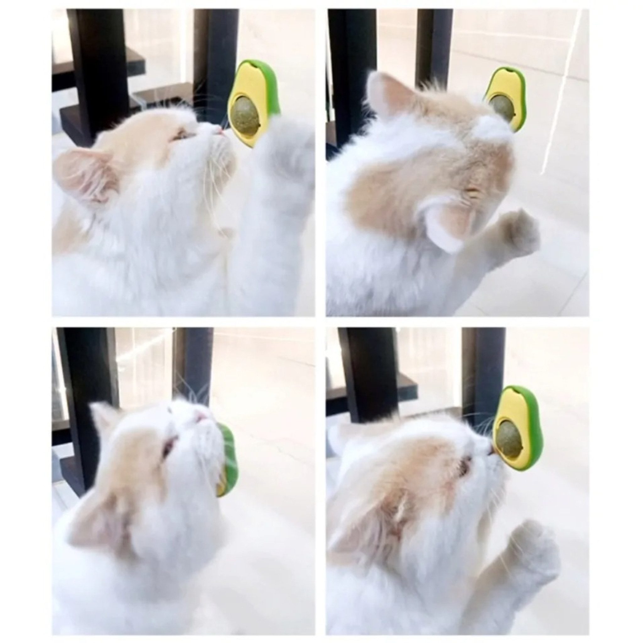 NUXIE Cat Tierball Avocado Katzenminze-Spielzeug – Interaktiver rotierender Ball, Selbstklebender Katzenminzeball für langanhaltenden Spielspaß Selbstklebender Avocado-Katzenminzeball Beschäftigung