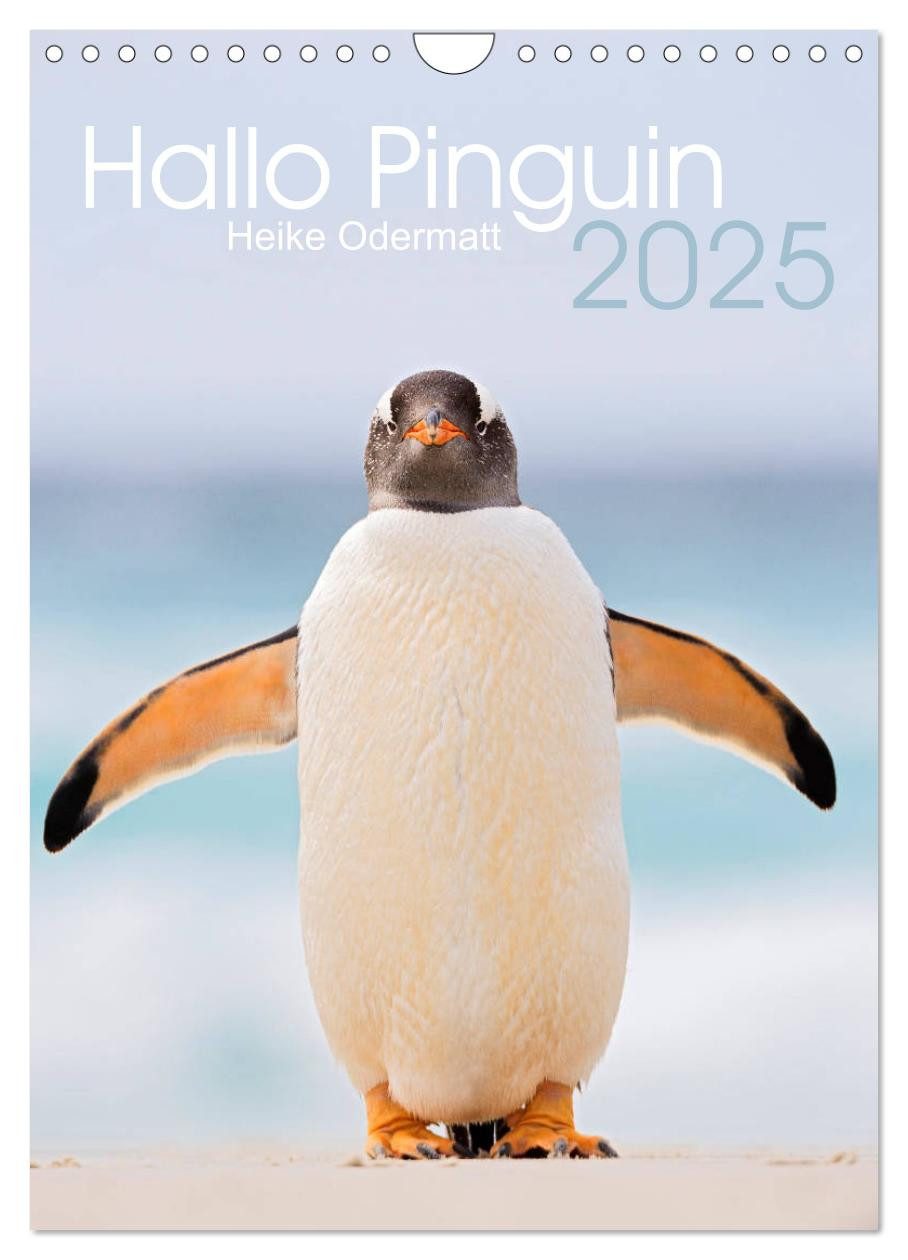 CALVENDO Wandkalender Hallo Pinguin (Wandkalender 2025 DIN A4 hoch), CALVENDO Monatskalender