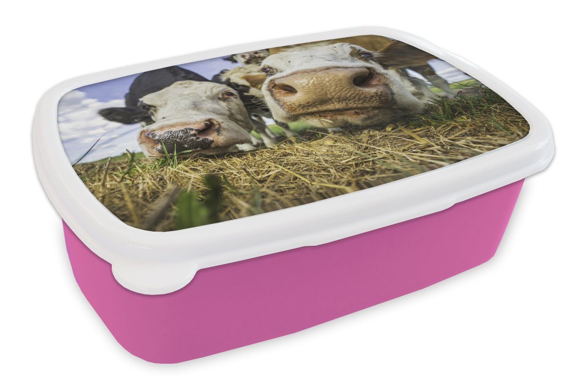 MuchoWow Lunchbox Kühe für Erwachsene, (2-tlg), Snackbox, Brotbox Kinder, Porträt, Kunststoff Heu Brotdose - rosa Kunststoff, - Mädchen