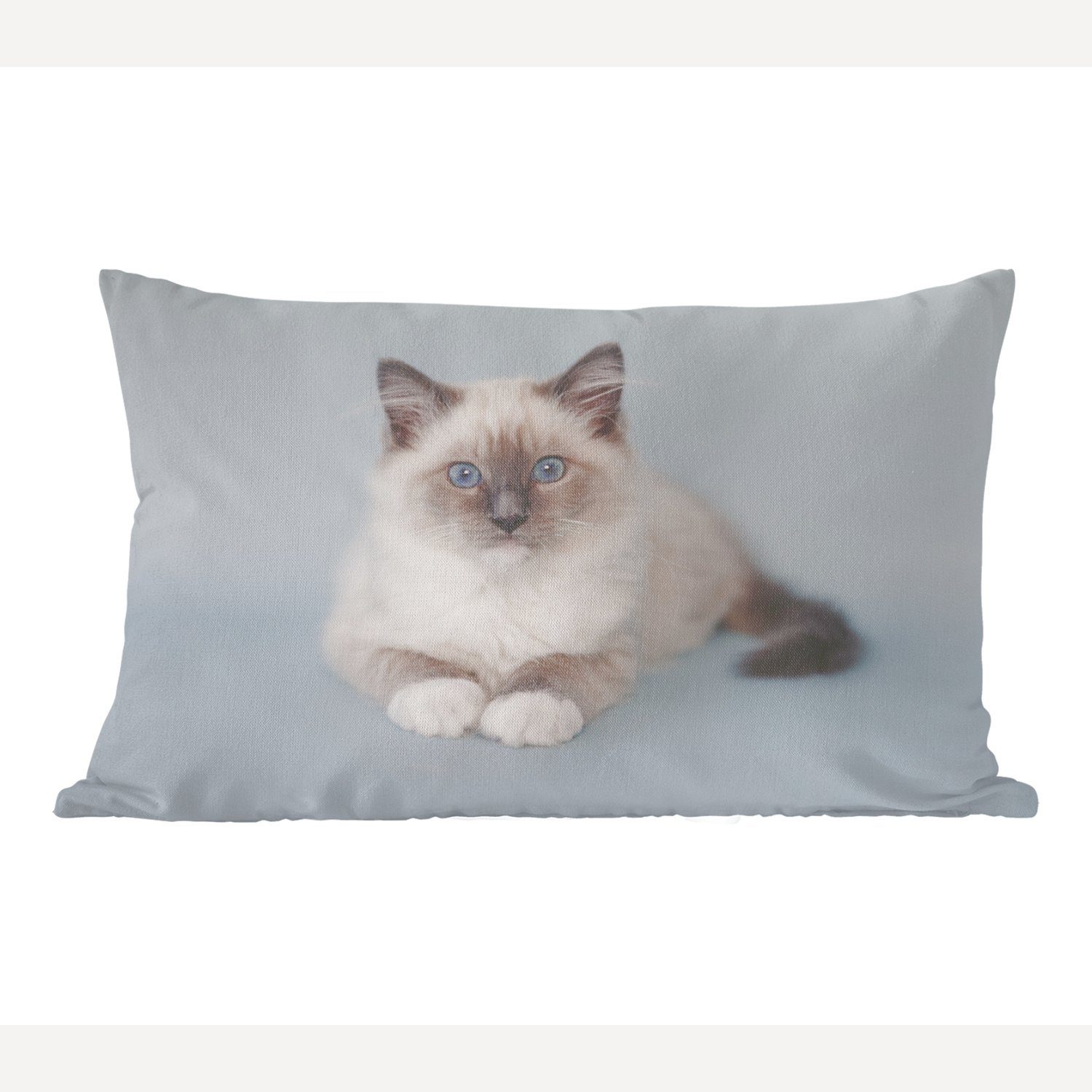 mit Katze Dekokissen - Ragdoll Jungen - Wohzimmer Mädchen Katze - Blau Kind, Dekoration, Dekokissen - MuchoWow - Füllung, - Zierkissen, Kinder Schlafzimmer