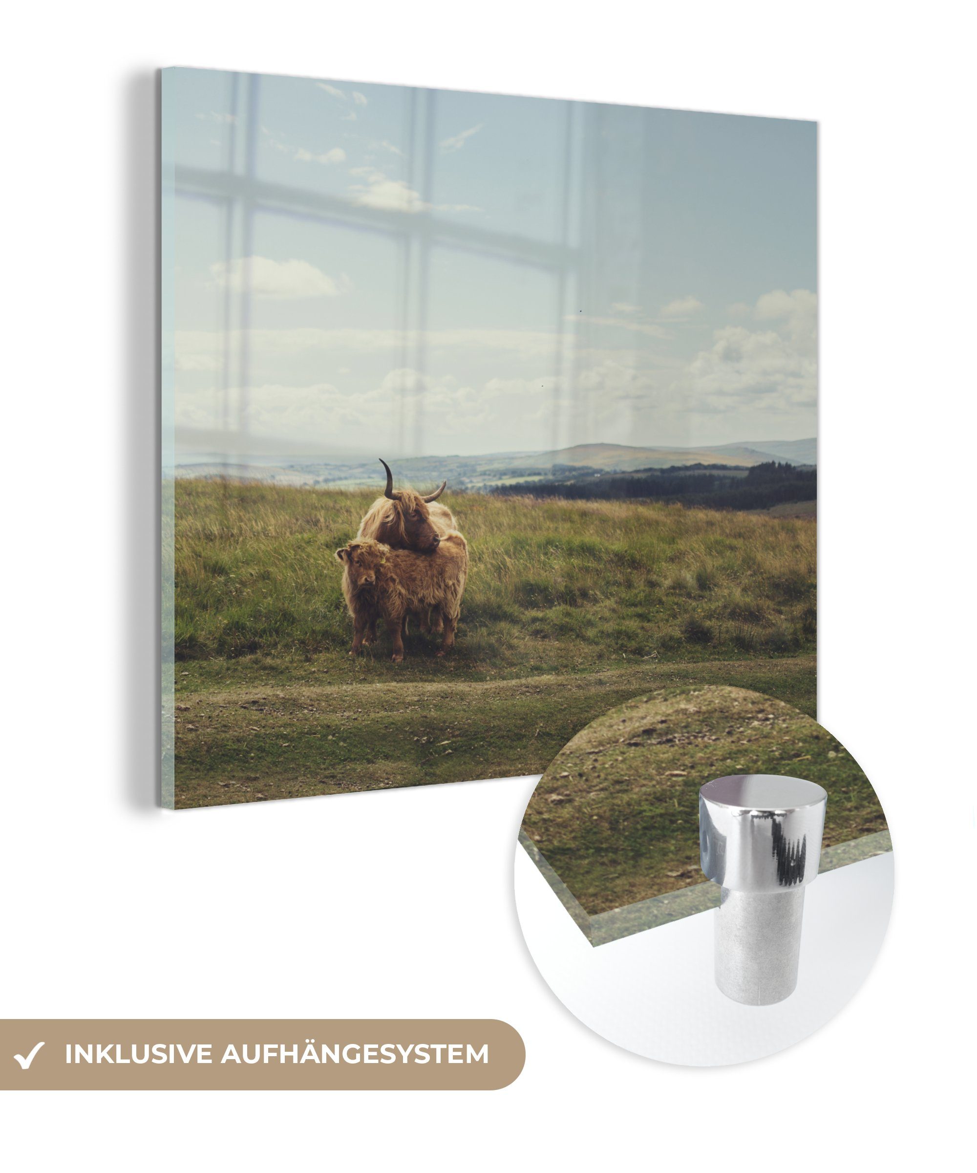 MuchoWow Acrylglasbild Schottische Highlander - Gras - Wolken - Tiere, (1 St), Dekorative Bild für Küche & Wohnzimmer auf Glas