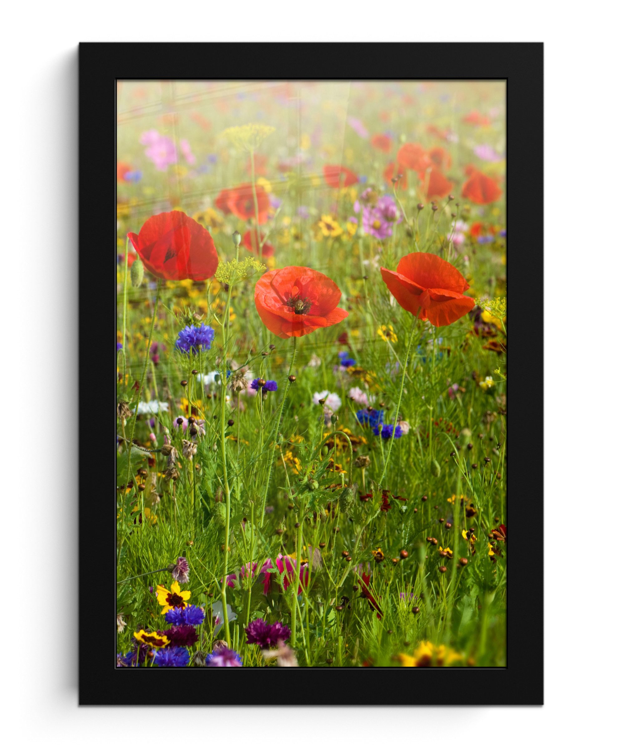 MuchoWow Poster Frühling - Blumen - Rot - Mohn - Gras - Grün, (1 St), Bilderrahmen, Zimmer Deko, Bild für Wohnzimmer, 20x30 cm