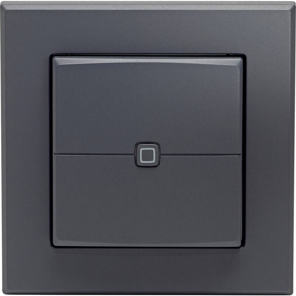 Homematic IP 161869A0 Wandtaster