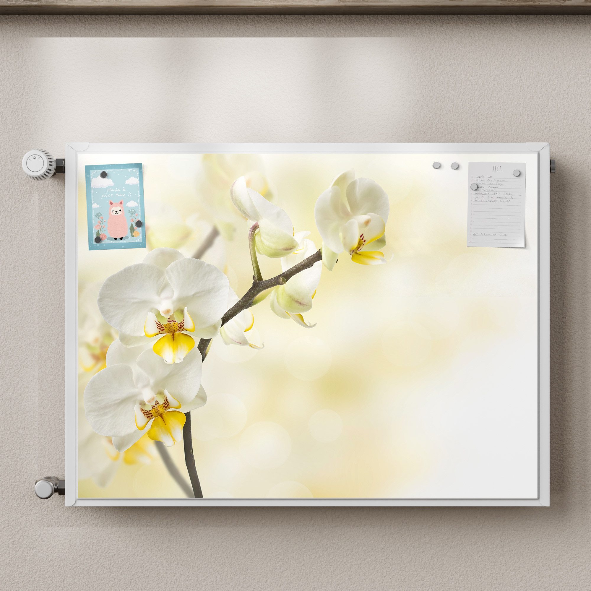 DEQORI Magnetfolie 'Orchideenzauber', beschreibbar Heizung Magnetmatte magnetisch Magnetfolie