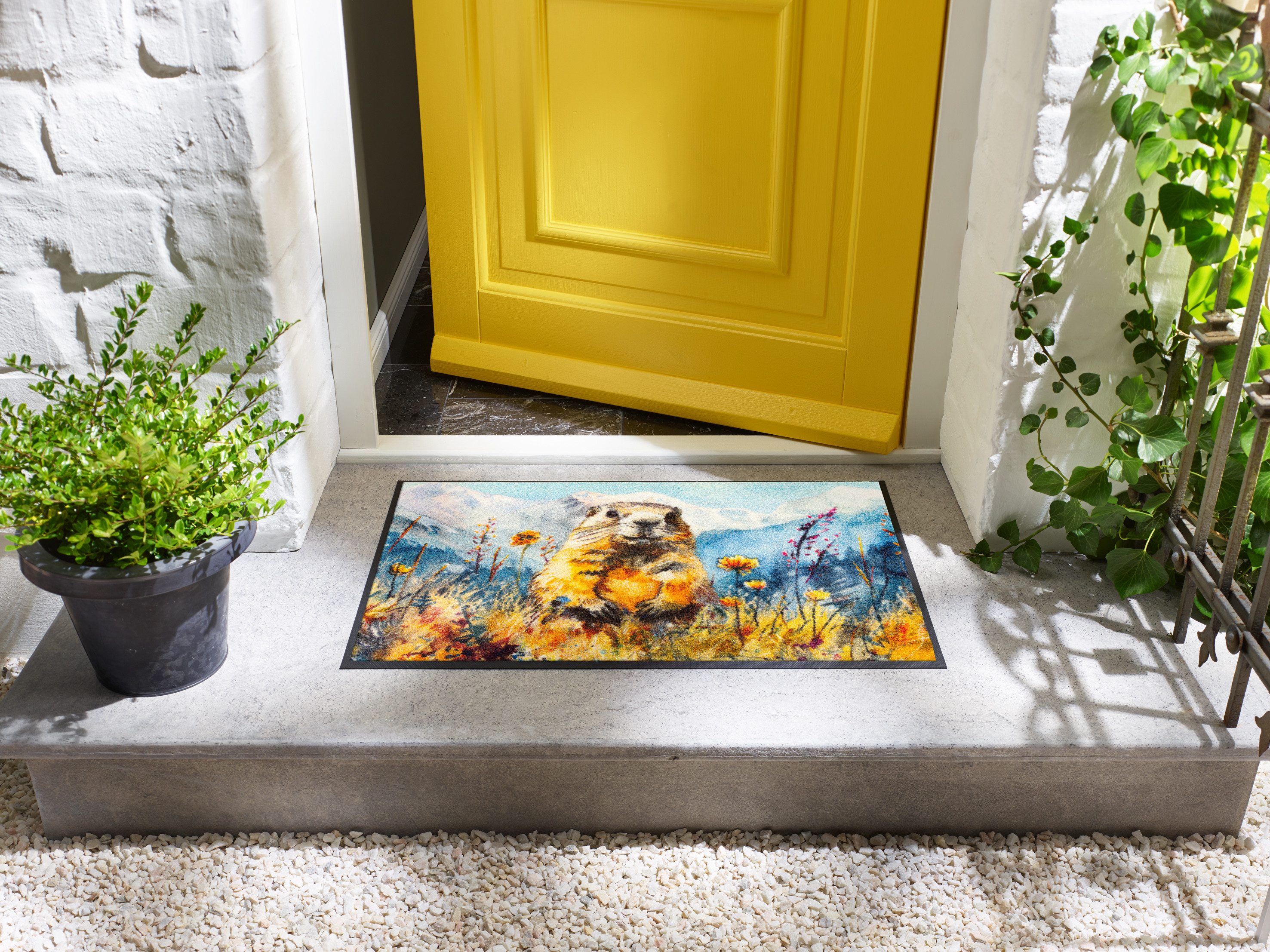 wash+dry by Kleen-Tex Fußmatte Leander, rechteckig, Höhe: 7 mm, waschbar un günstig online kaufen