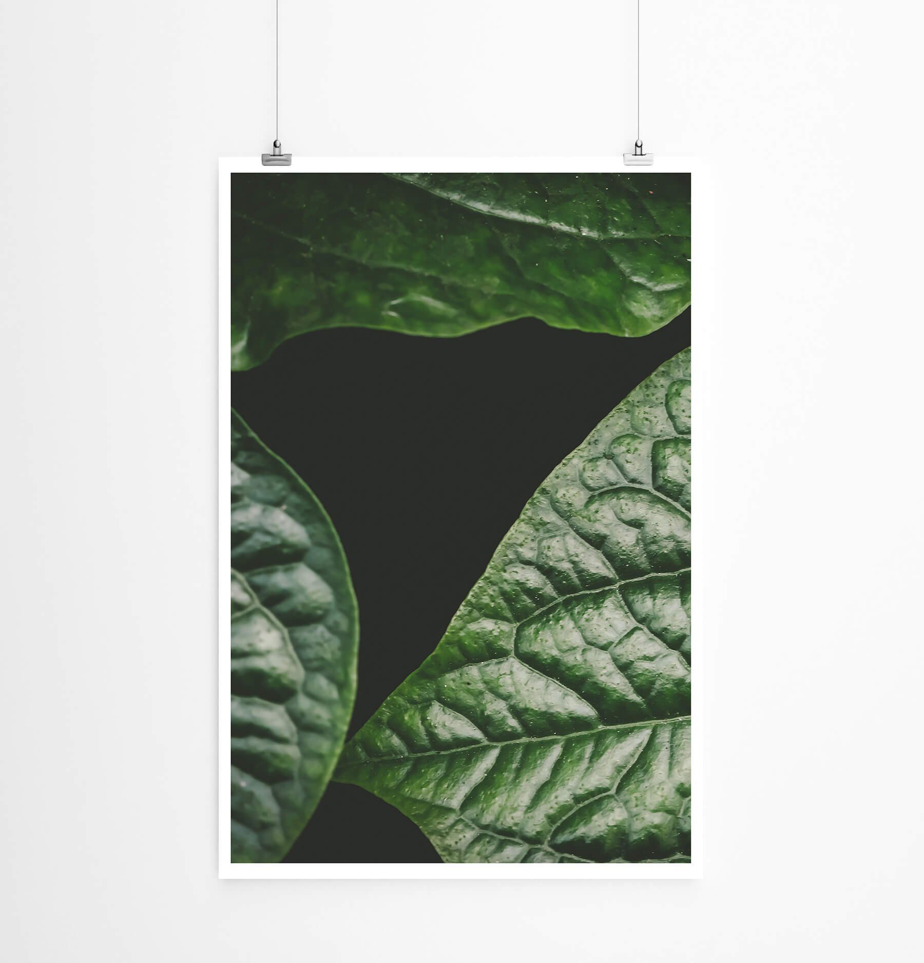 Sinus Art Poster 60x90cm Poster Naturfotografie  Dunkelgrüne strukturierte Blätter