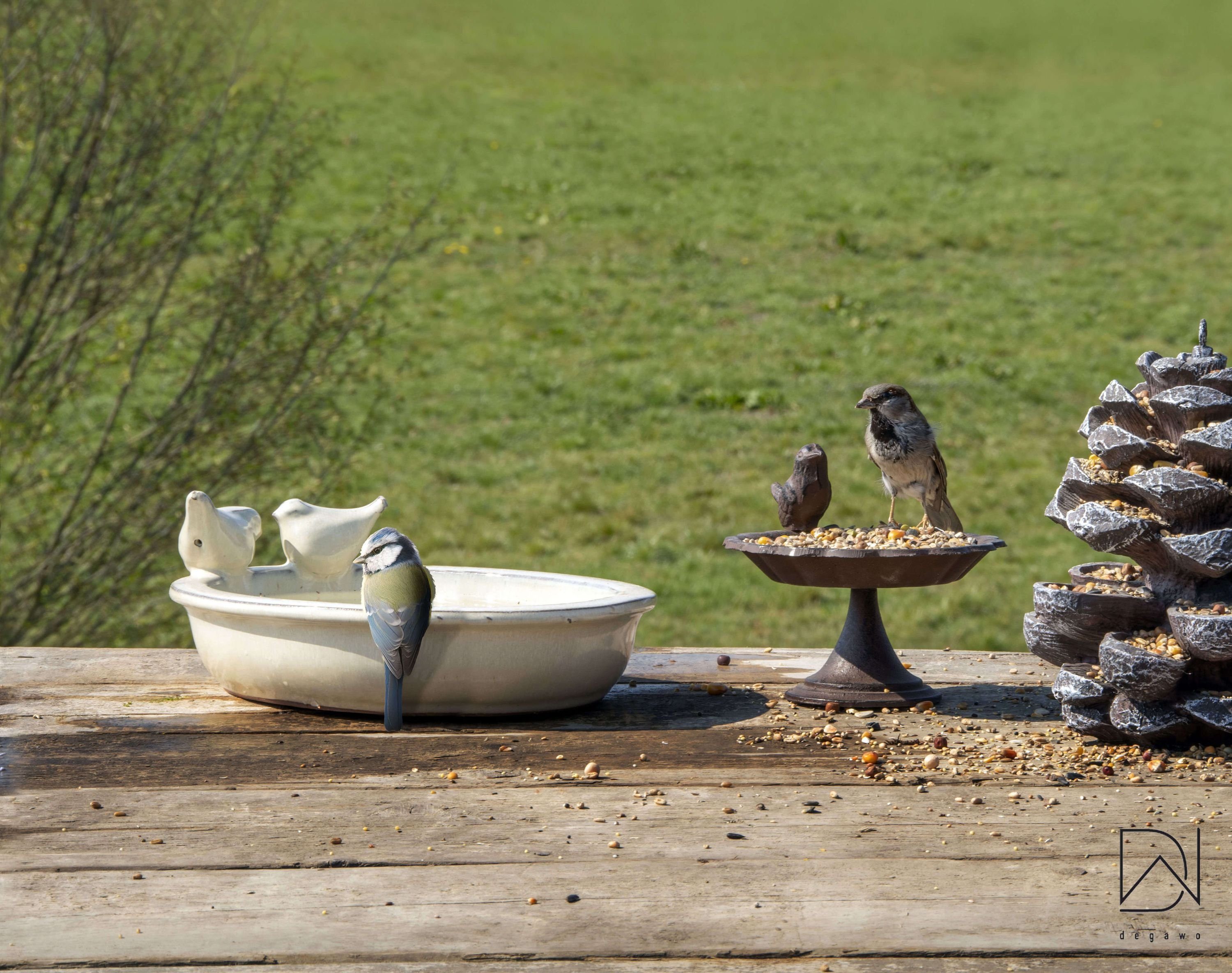 Dekowunder Vogeltränke Wasserstelle Vogelbad Vogelbecken oval günstig online kaufen