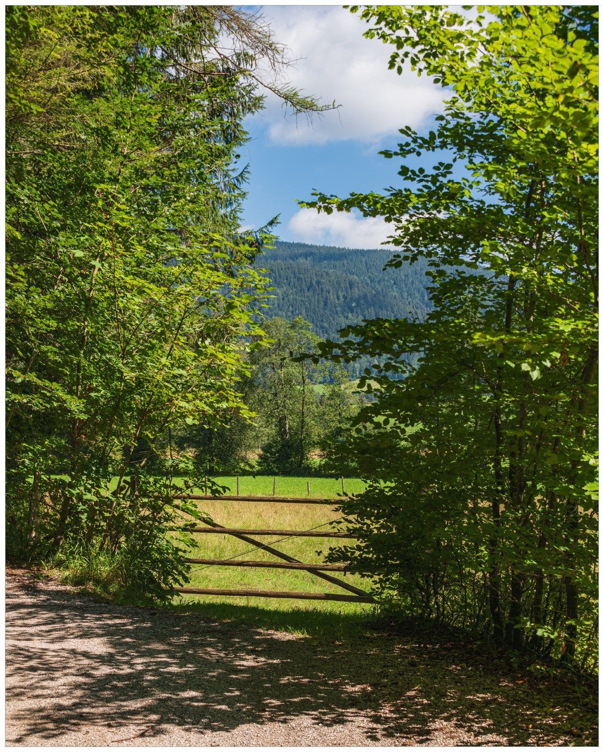 Wallario Poster, Blick ins Tal, in verschiedenen Ausführungen