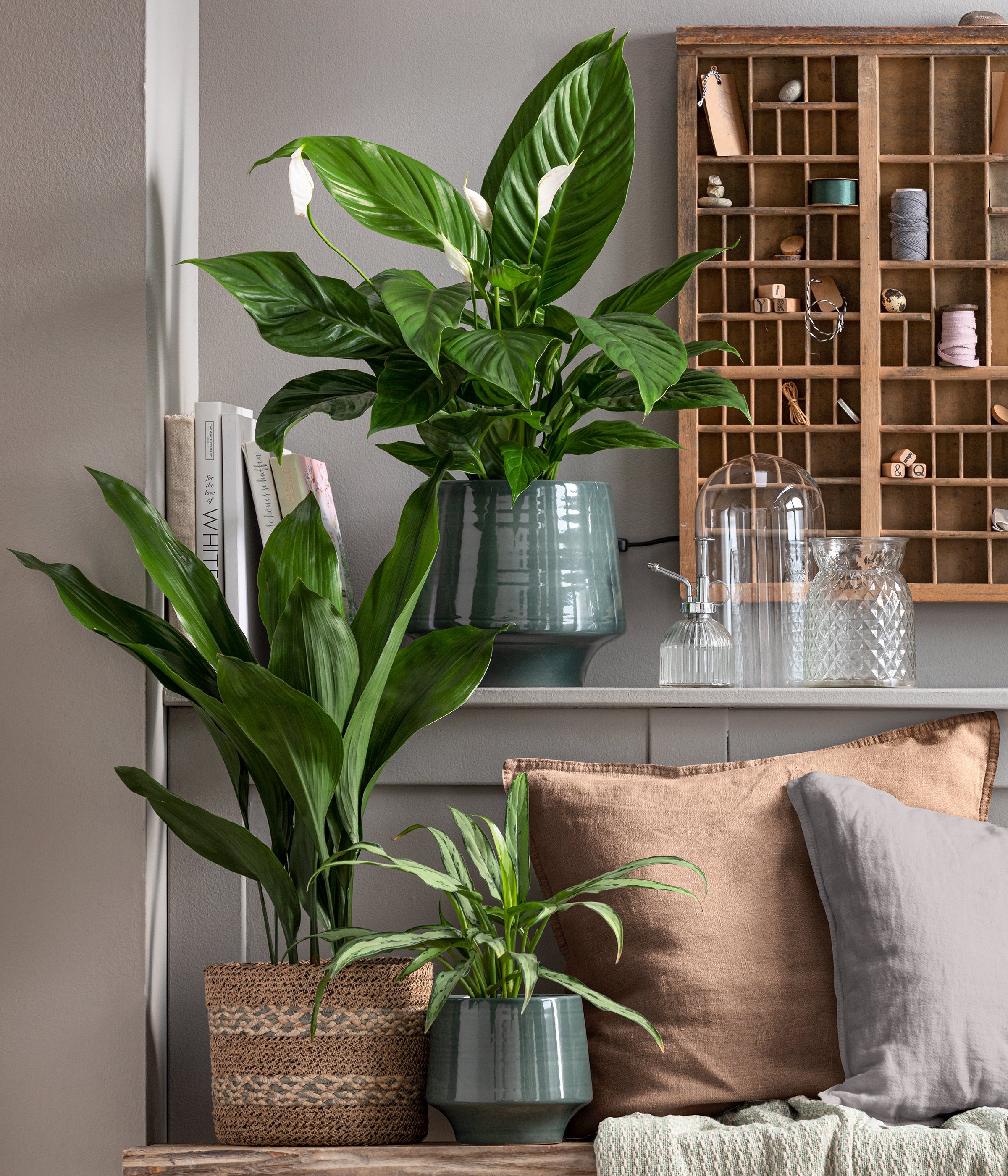 Dehner Übertopf Elsa, türkis, verschiedene Größen, hochwertige, glasierte Keramik, elegante Form