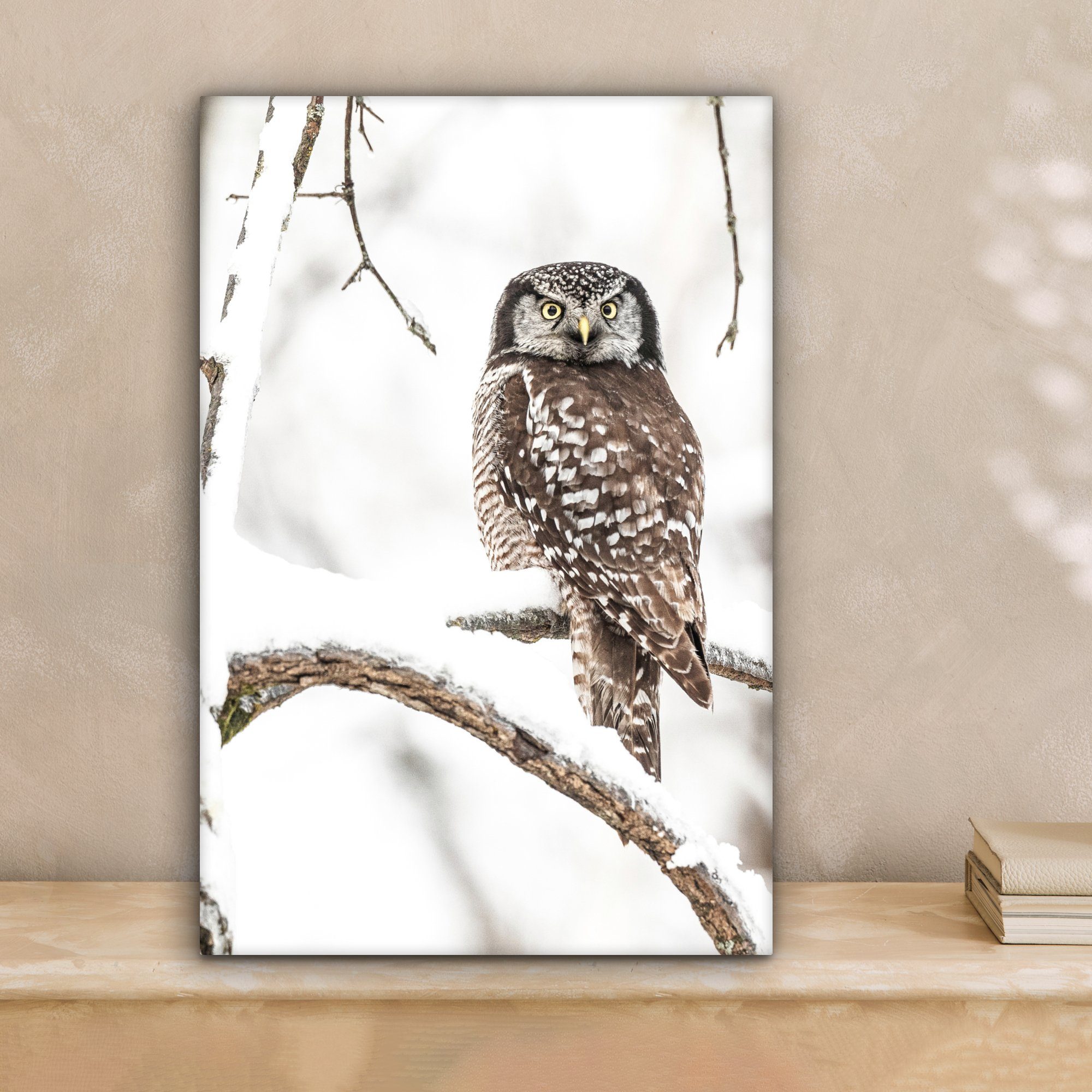 Schnee Leinwandbild Leinwandbild - 20x30 inkl. Porträt, cm OneMillionCanvasses® - bespannt - Vögel Winter Zackenaufhänger, (1 St), Gemälde, Eule fertig -