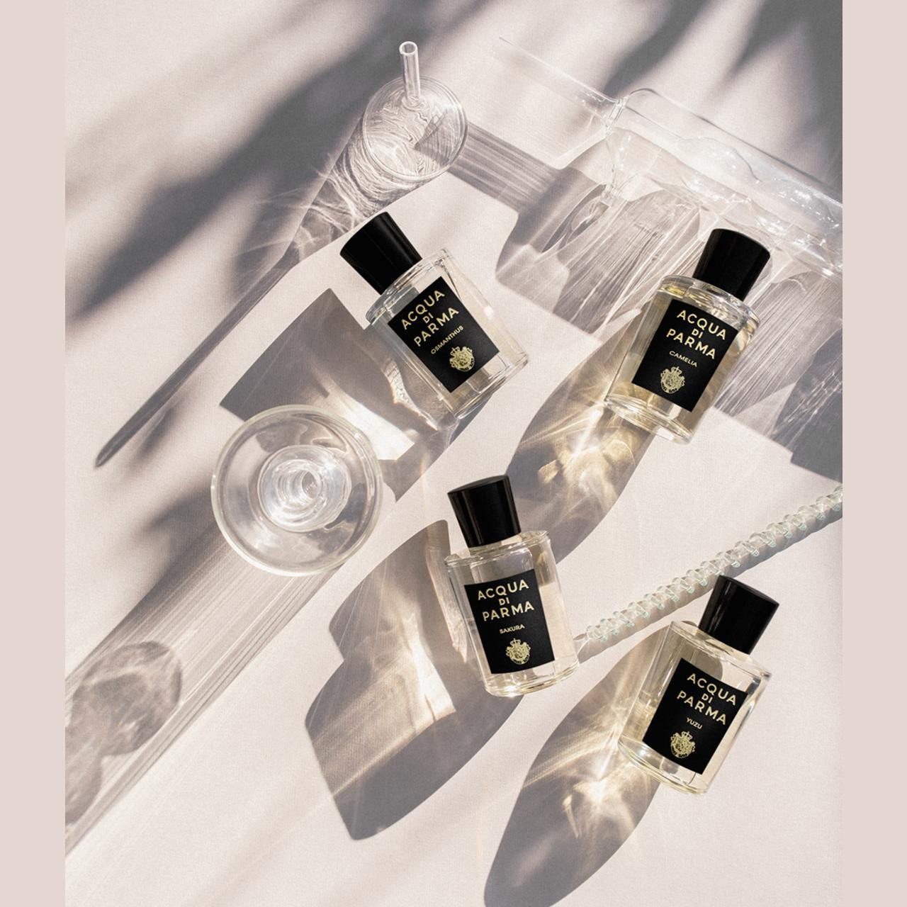 Acqua di Parma Eau de Parfum YUZU, Glasflakon, Parfüm EDP, Unisex Duft