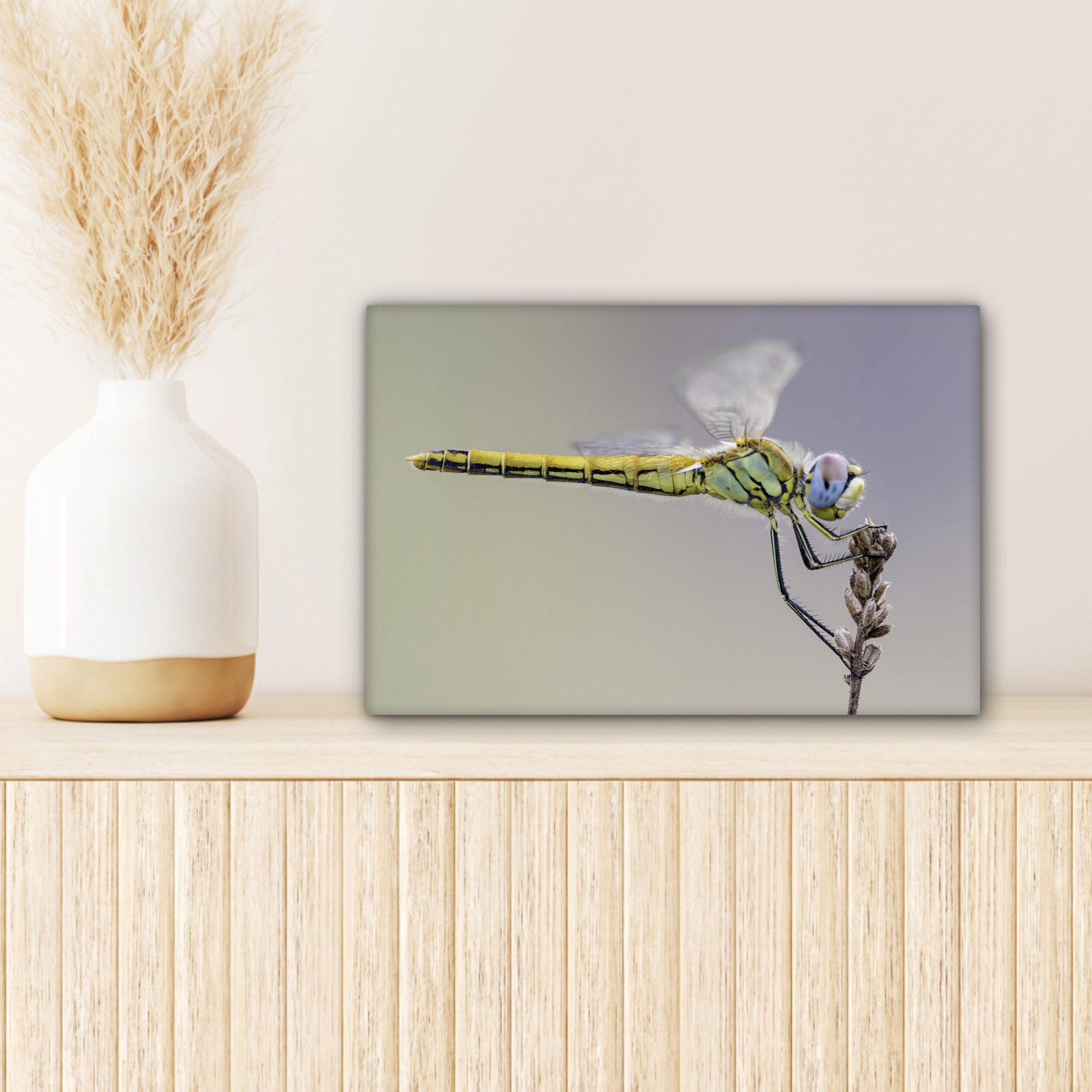 Aufhängefertig, Libelle, Leinwandbilder, cm (1 OneMillionCanvasses® einer Wandbild 30x20 Wanddeko, St), Nahaufnahme Leinwandbild