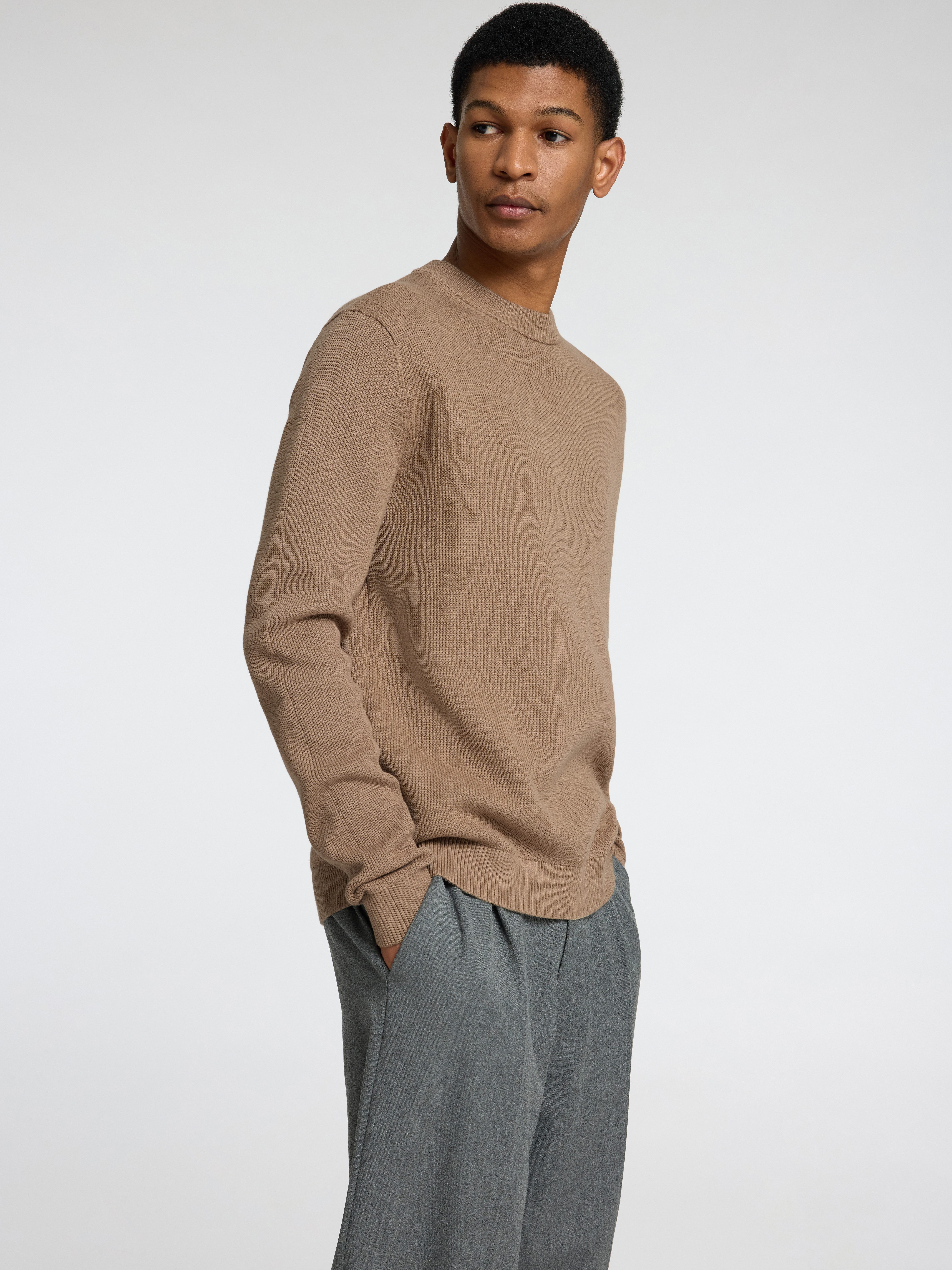 SELECTED HOMME Rundhalspullover SLHDANE LS KNIT günstig online kaufen