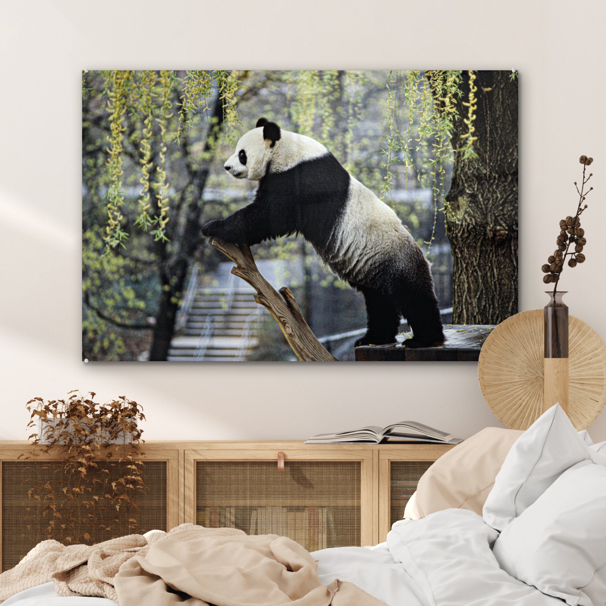MuchoWow Acrylglasbild Panda Wohnzimmer - (1 Baum, Schlafzimmer Fluss Acrylglasbilder St), & 