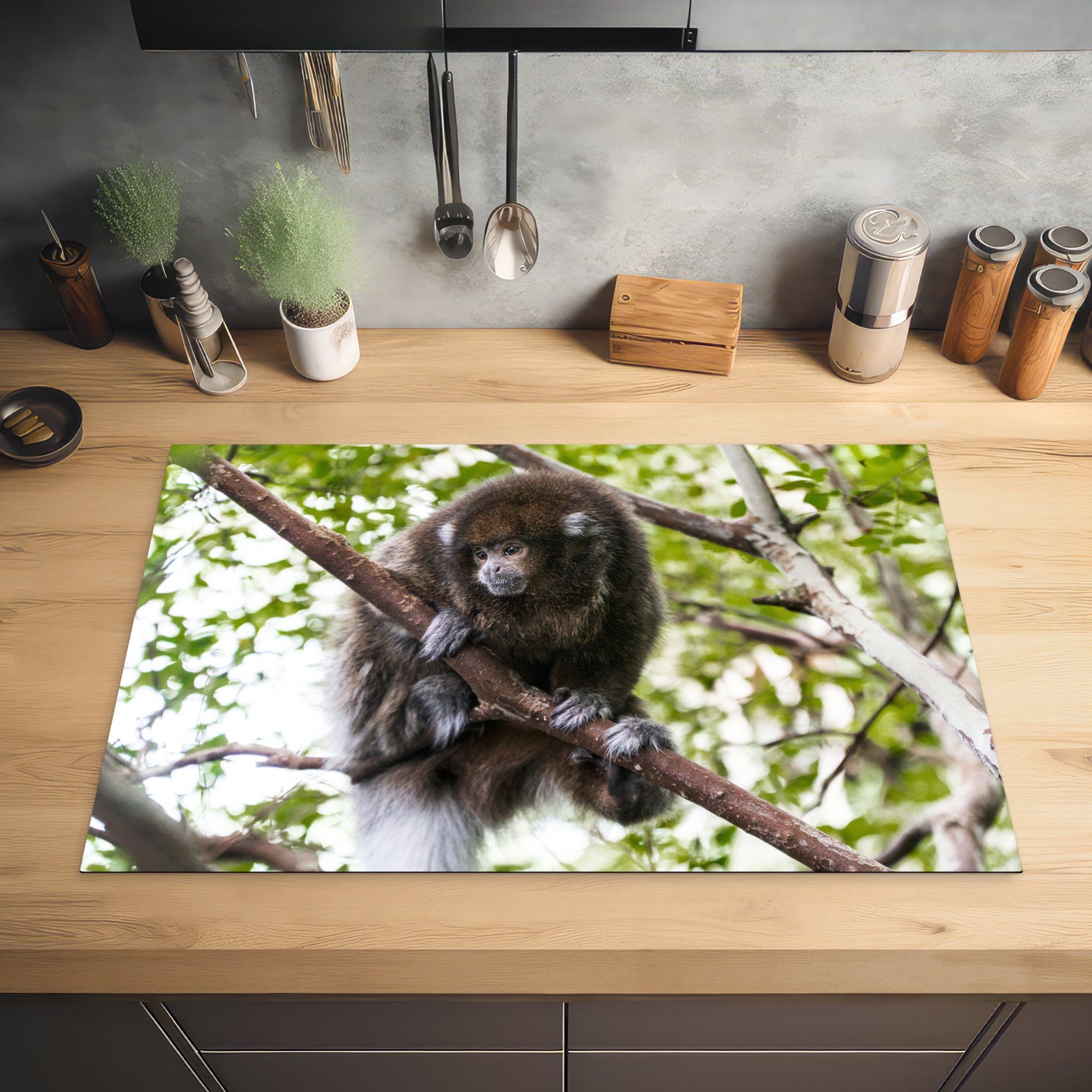 - MuchoWow - 81x52 cm, Affe tlg), Tier, Schutz für Vinyl, küche, (1 die Zweig Induktionskochfeld Herdblende-/Abdeckplatte Ceranfeldabdeckung