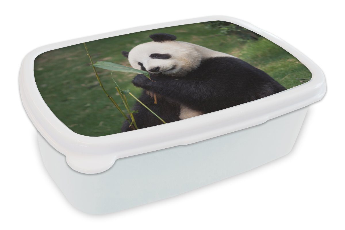 MuchoWow Lunchbox Pandabär - Wilde Tiere - Blätter, Kunststoff, (2-tlg), Brotbox für Kinder und Erwachsene, Brotdose, für Jungs und Mädchen weiß