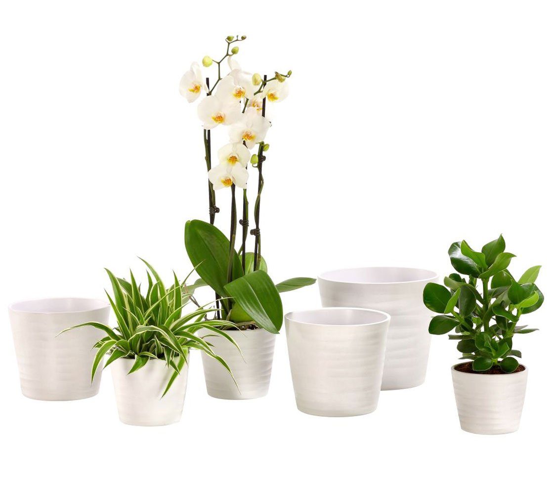 Dehner Blumentopf Wave, Ø 23 - günstig online kaufen
