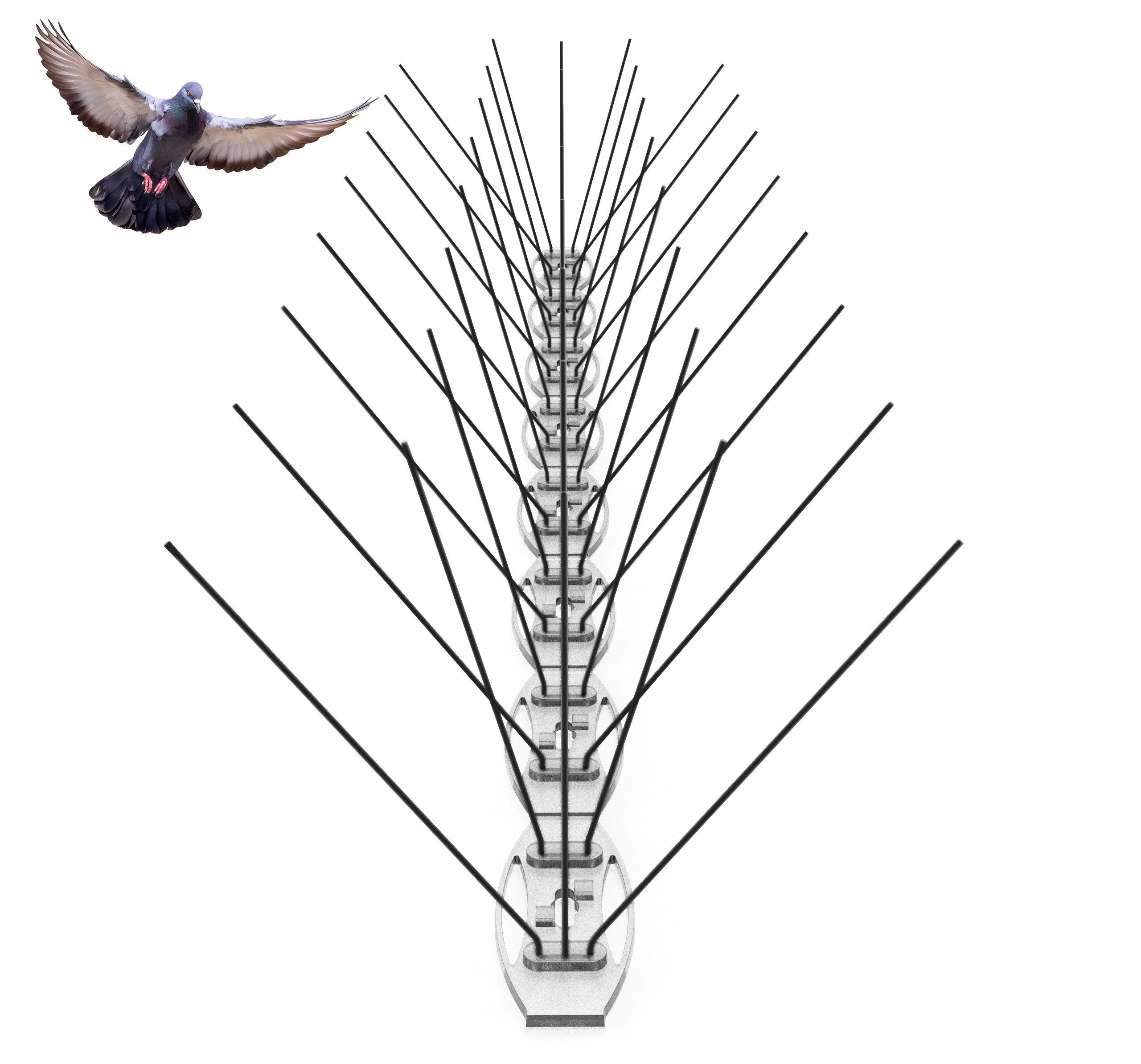 Taubenspikes Vogelabwehr Spikes aus Edelstahl gegen Tauben, Spatzen, Amsel, Marder