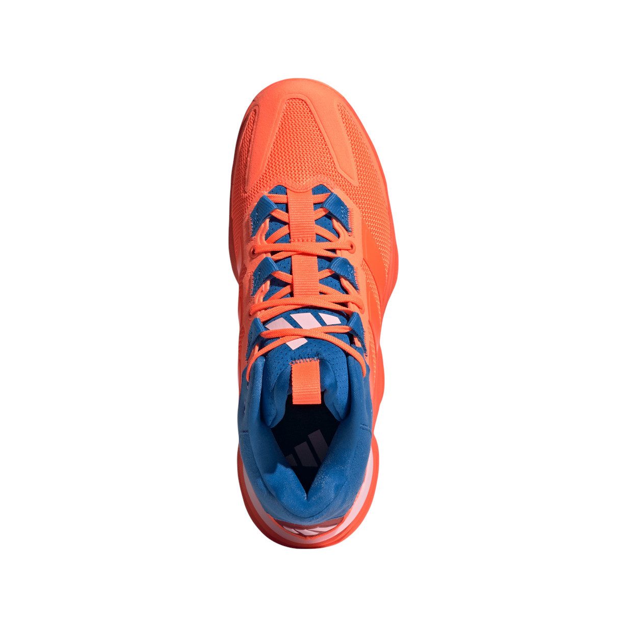 adidas Performance Hallen-Indoorschuhe Courtstabil (Basketball) rot/blau Herren Badmintonschuh