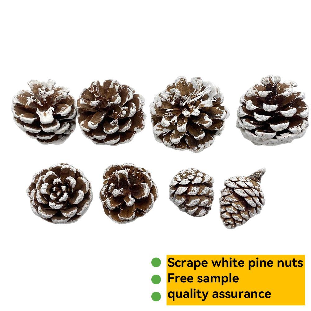 Trockenblume Weiß 3-4cm Gefärbte, Weihnachtsbaum-Tannenzapfen-Dekoration, Blusmart, Trockenblume