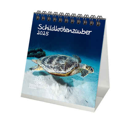 Seelenzauber Tischkalender Schildkrötenzauber Kalender für 2025 Format 10cm x 10cm Schildkröten