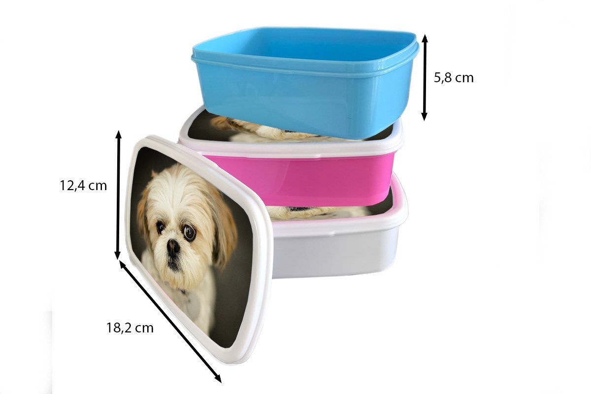 MuchoWow Lunchbox Shih Tzu Hund und Jungs weiß Kamera, in schaut Erwachsene, Brotbox für schräg (2-tlg), Kunststoff, Brotdose, die Kinder für Mädchen und