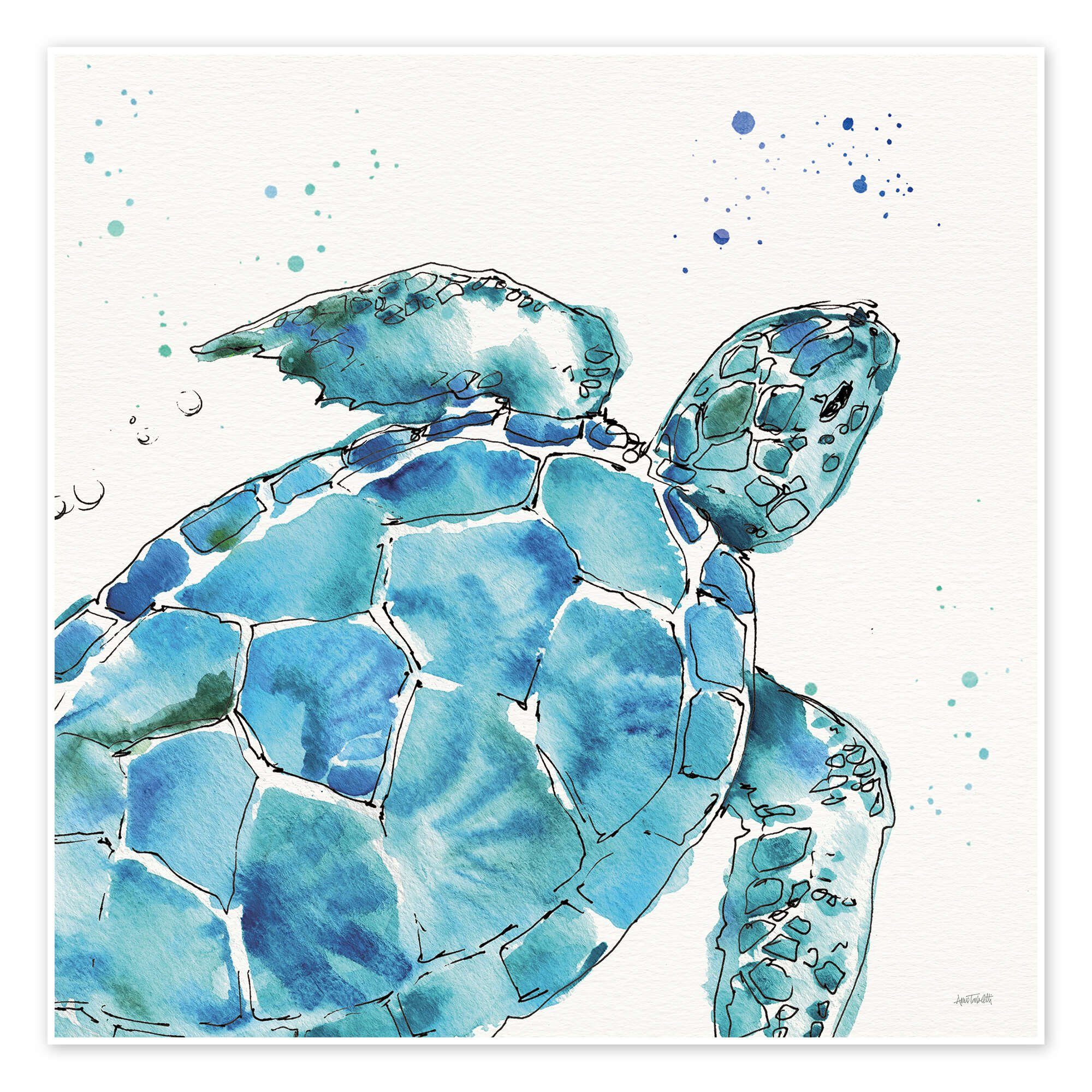 Posterlounge Wandbild Schildkröte IX, Anne Tavoletti, erhältlich als Poster, Leinwandbild, Wandsticker oder Acrylglasbild