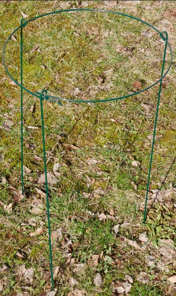 Thumbnail - Grüner Jan Rankhilfe Metall-Pflanzenstütze 60x35cm Blumenstütze Staudenhalter Rosenstütze