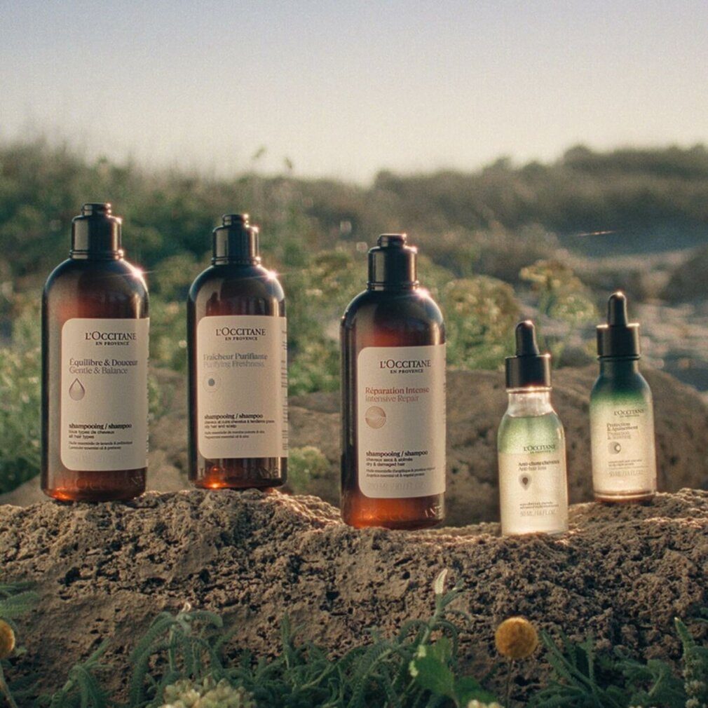 L'OCCITANE Haarpflege-Set Sanftes & ausgewogenes Shampoo (Shampoo)