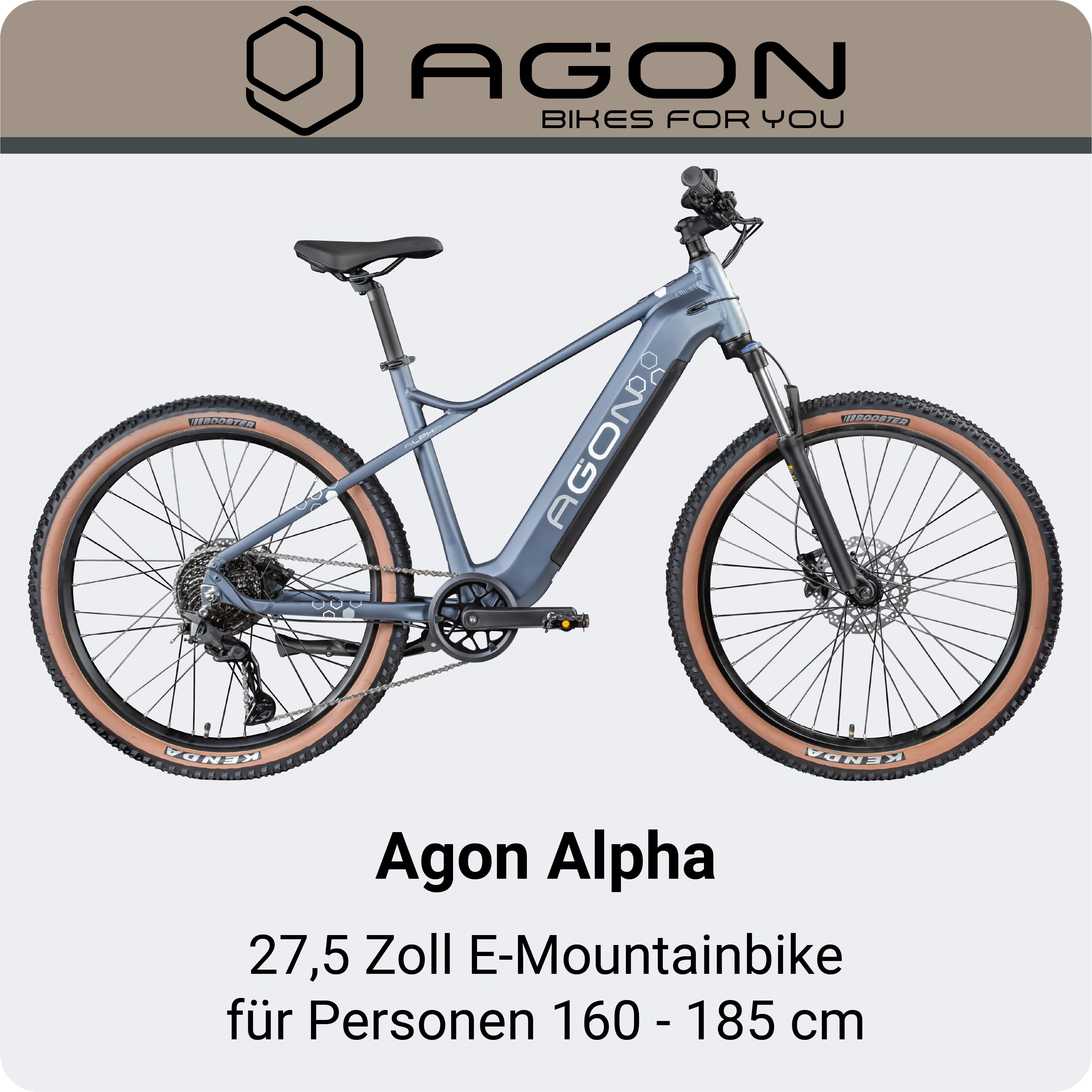 AGON E-Bike Mountainbike Alpha, 10 Gang Deore SGS T6000 Schaltwerk, Kettenschaltung, Heckmotor, 540 Wh, Pedelec, Elektrofahrrad für Damen u. Herren, MTB