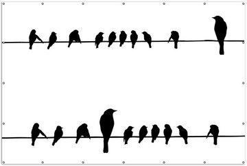 Wallario Sichtschutzzaunmatten Vögel auf einer Stromleitung