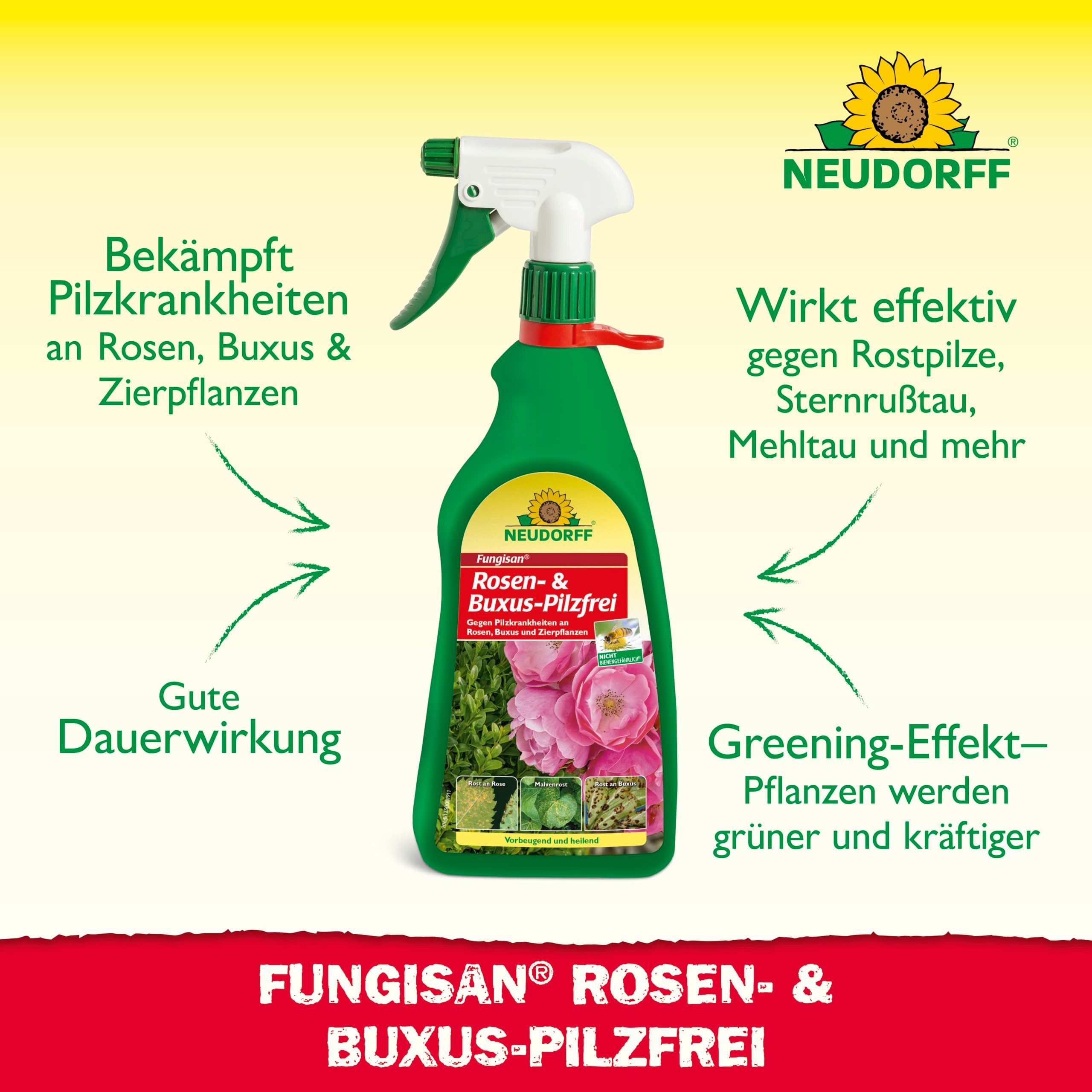 Neudorff Pflanzen-Pilzfrei Fungisan Rosen- und Buxus-Pilzfrei 1 Liter, 1 l, Anwendungsfertiges Spray zur Bekämpfung von Pilzkrankheiten an Rosen, Buxus und Zierpflanzen