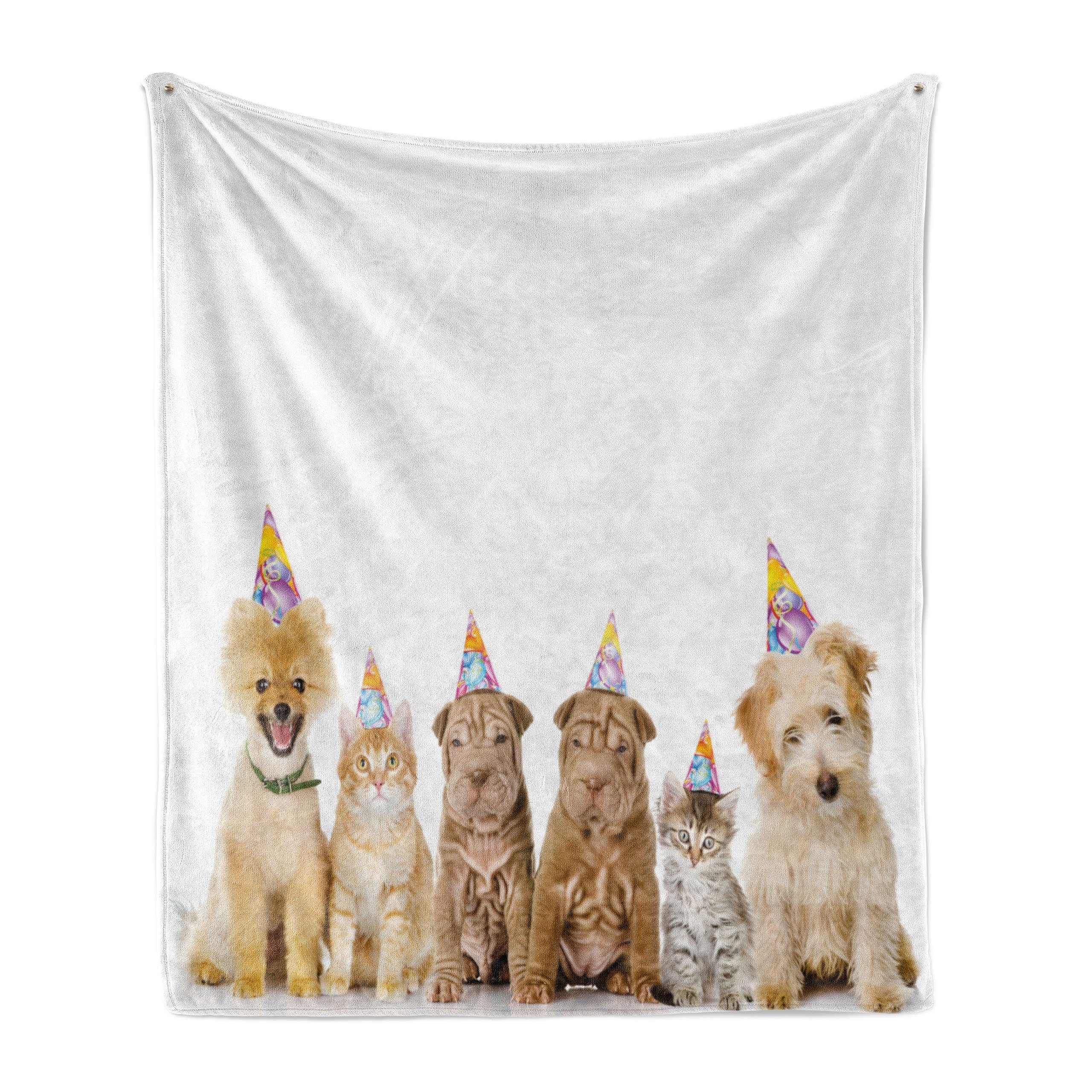 Wohndecke Gemütlicher Plüsch für den Innen- und Außenbereich, Abakuhaus, Geburtstagsparty Hunde Katzen an einer Party