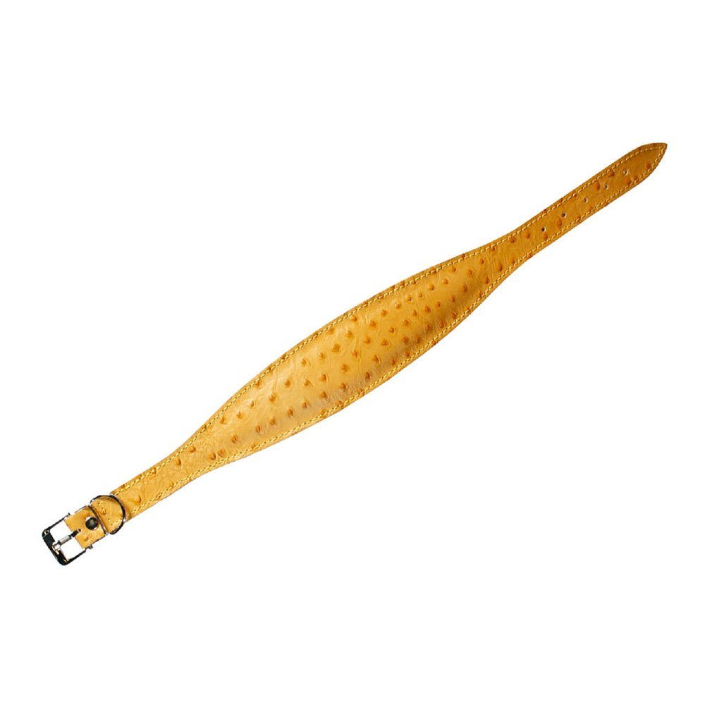 Karlie Hunde-Halsband Karlie Windhund-Halsband Ventus Länge / Farbe: 55cm / Gelb